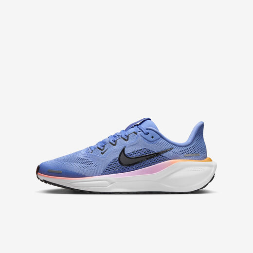 Nike Pegasus 41
