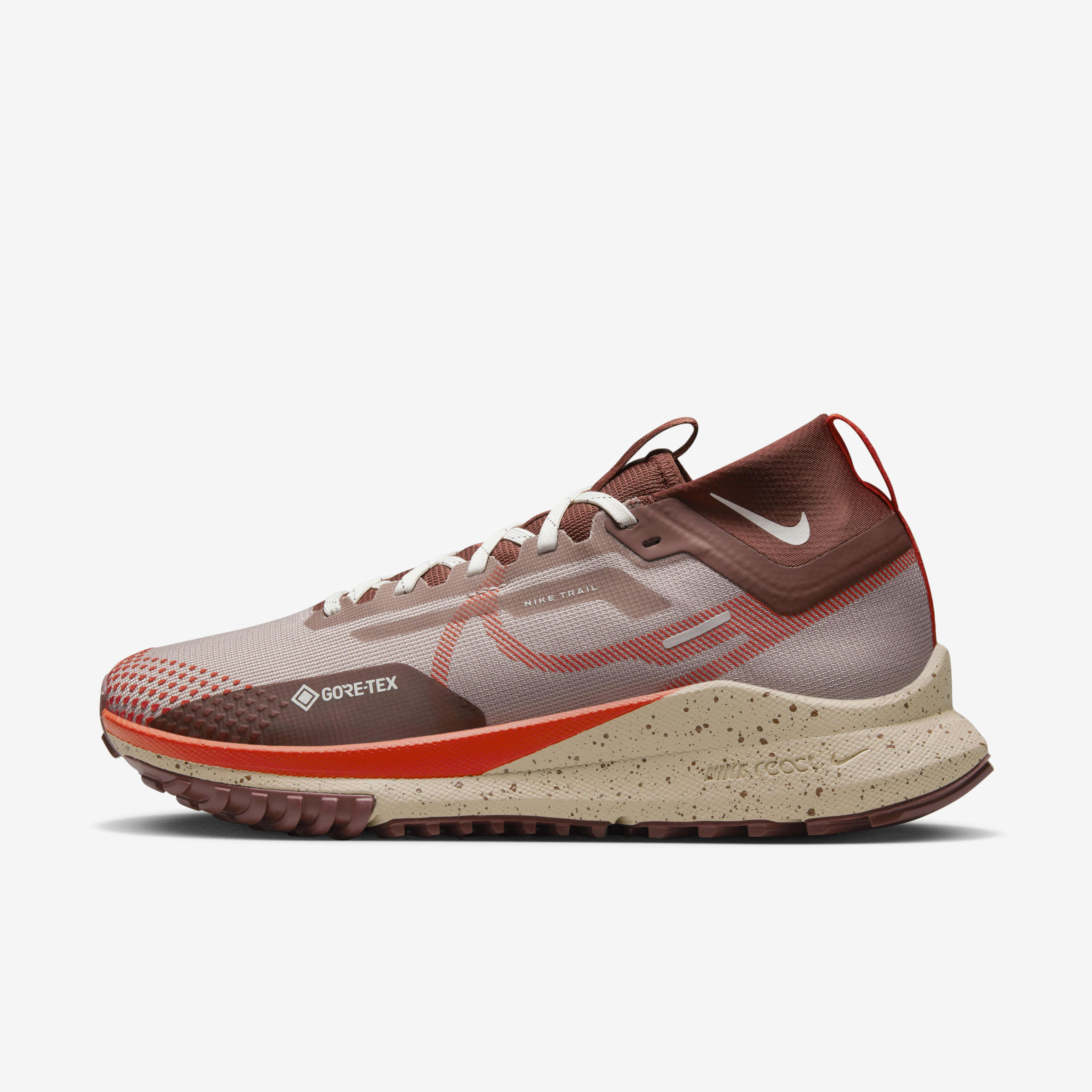 Nike Pegasus Trail 4 GORE-TEX image number 0