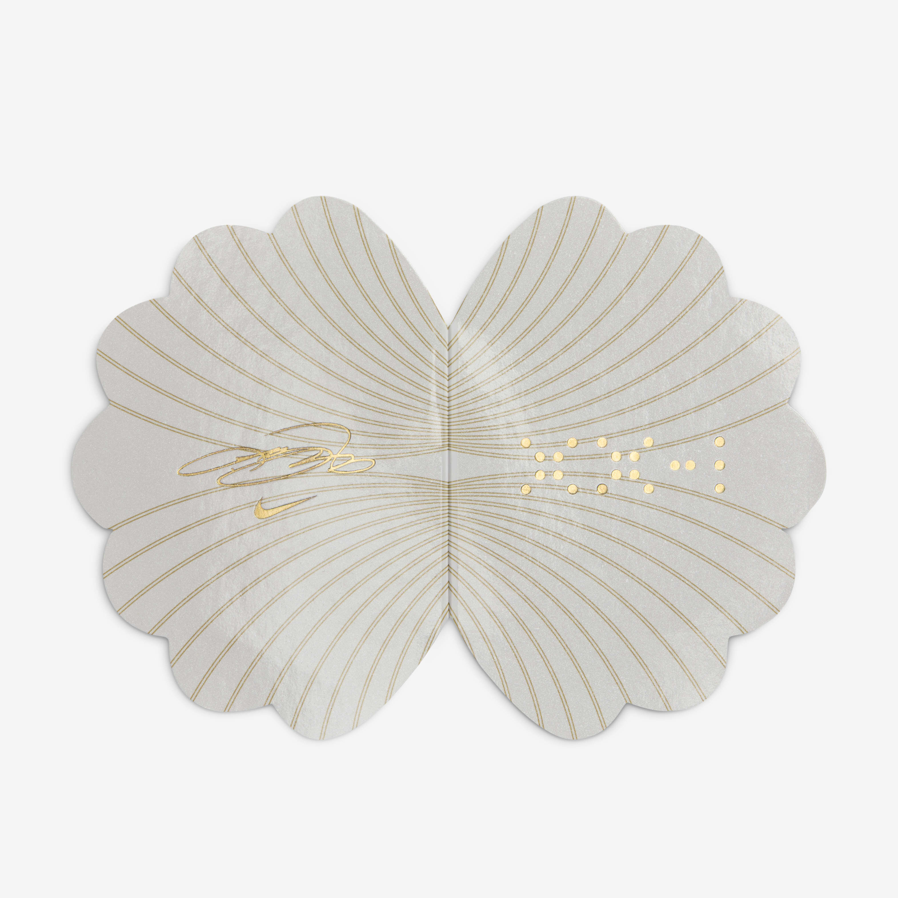 ليبرون XXI image number 10