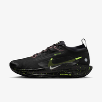 Nike Pegasus Trail 5 GORE-TEX