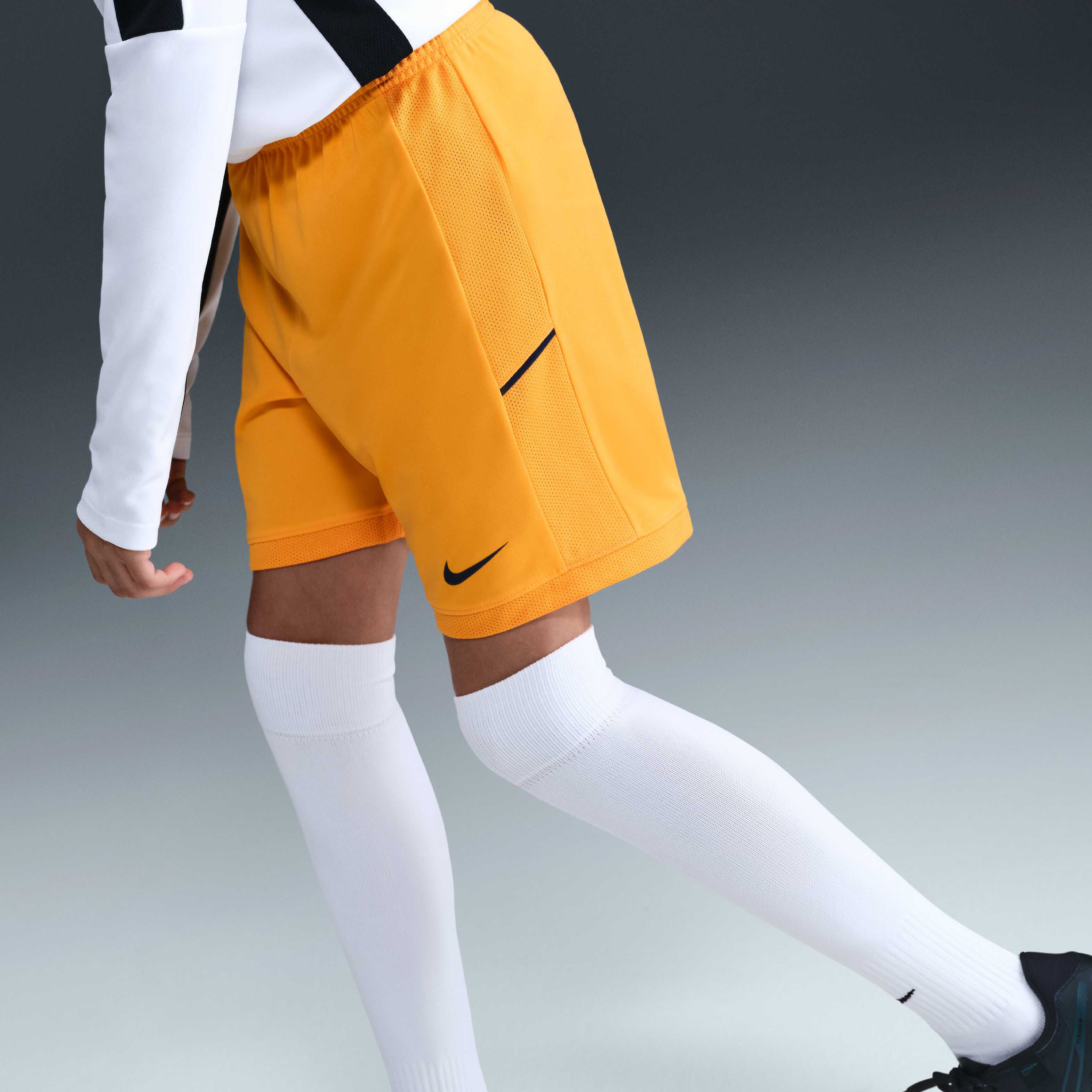 إيرلينج هالاند أكاديمي image number 1