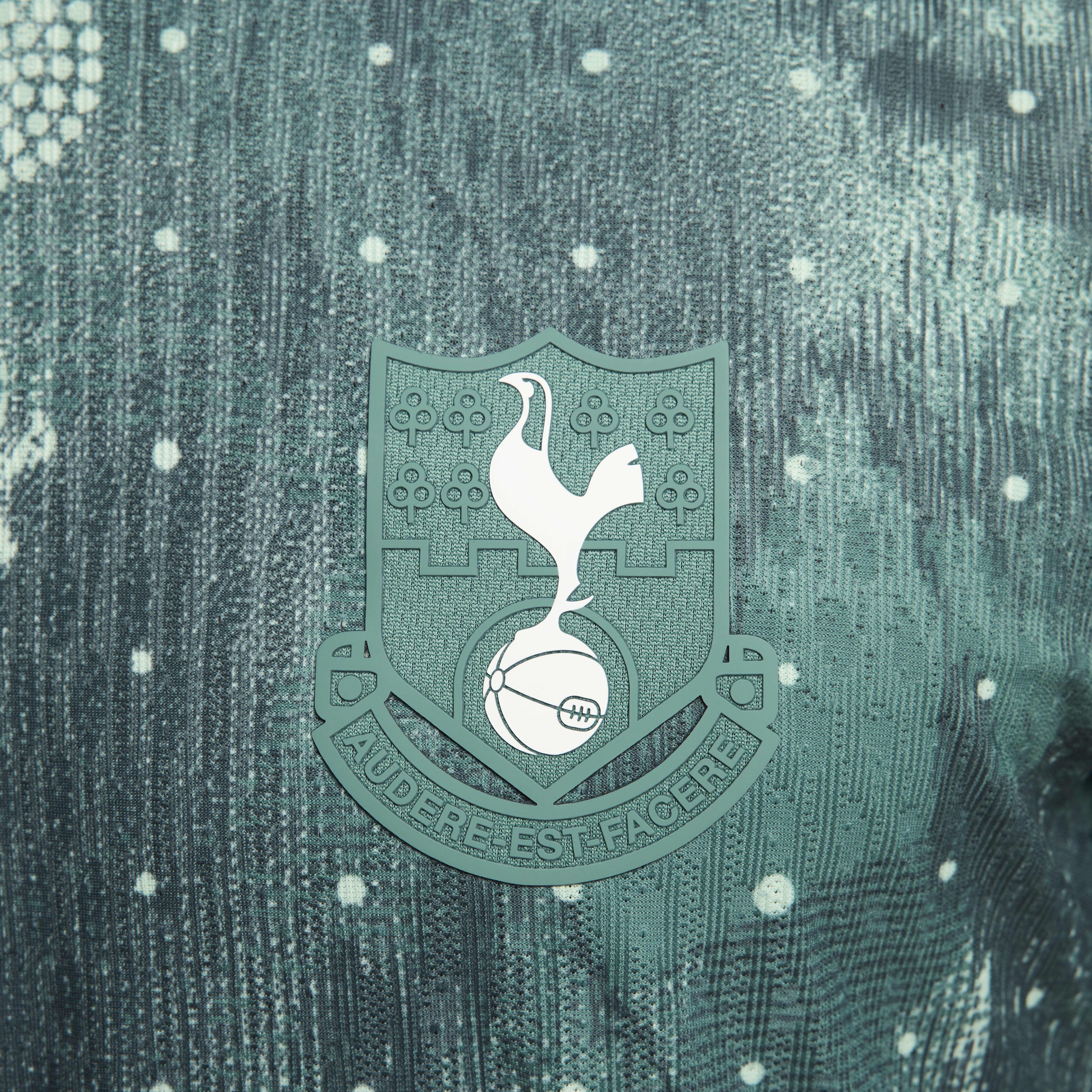 Tottenham Hotspur 2024/25 Match Third image number 3