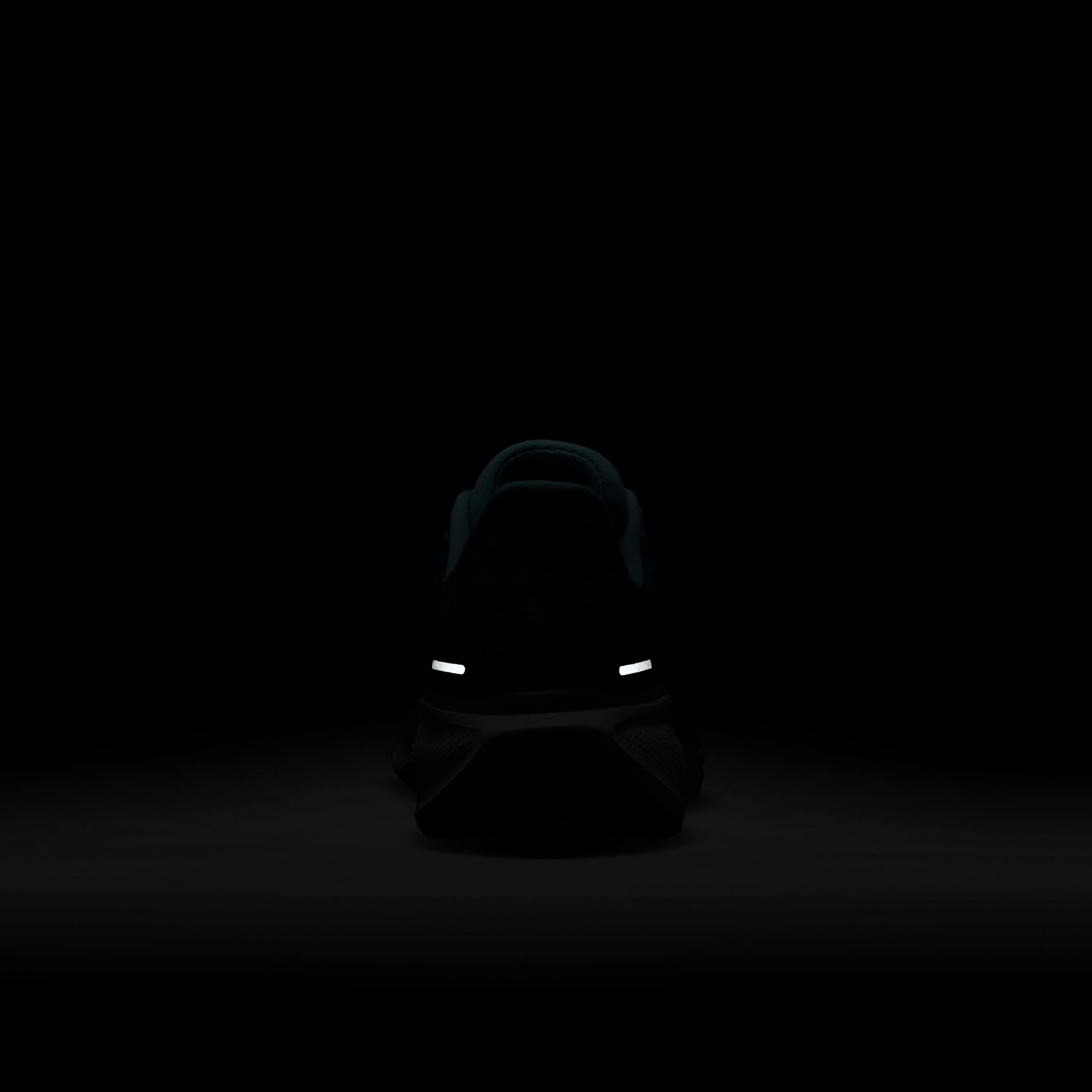 نايكي بيجاسوس 41 NBNW image number 9