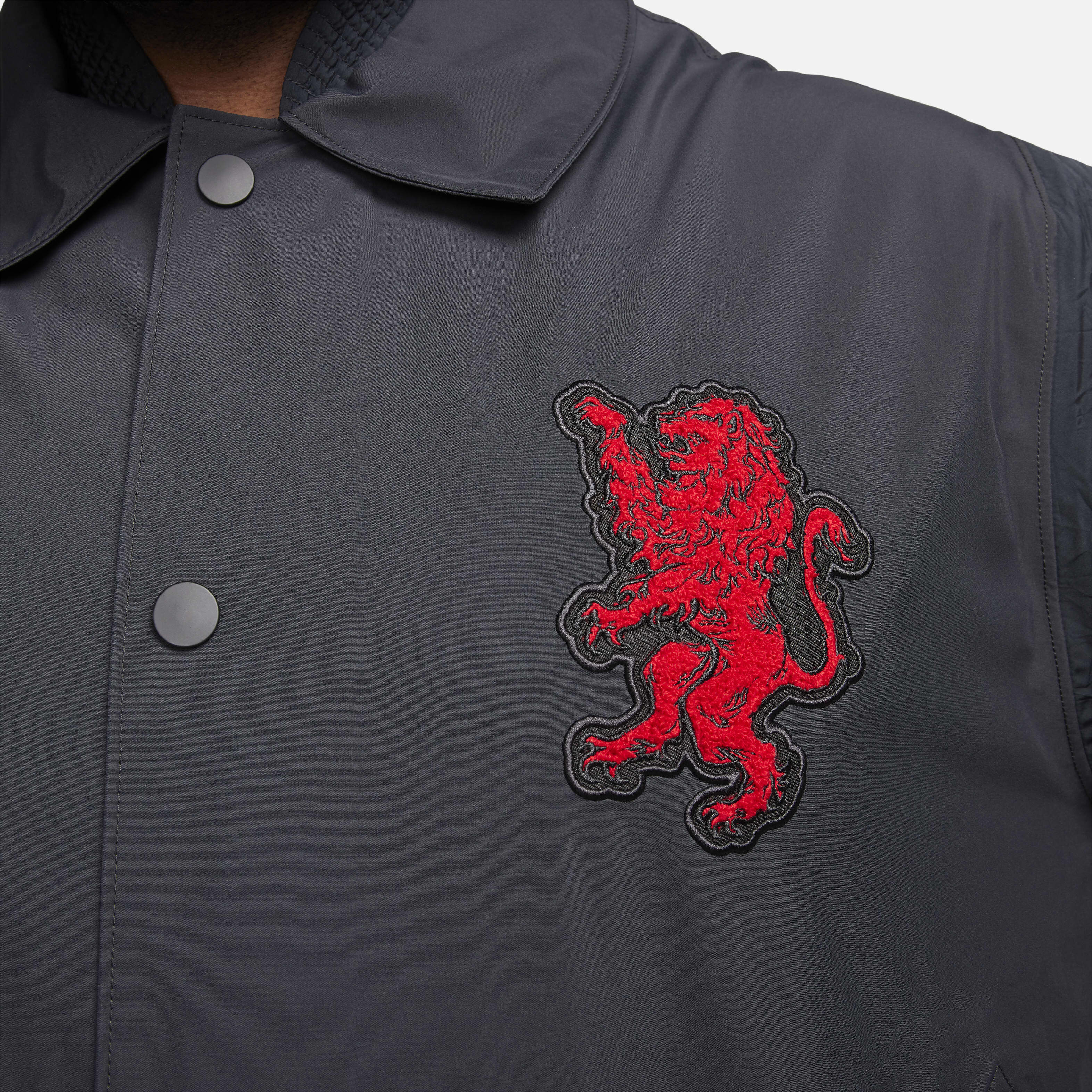 LeBron image number 15