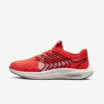 Nike Pegasus Turbo