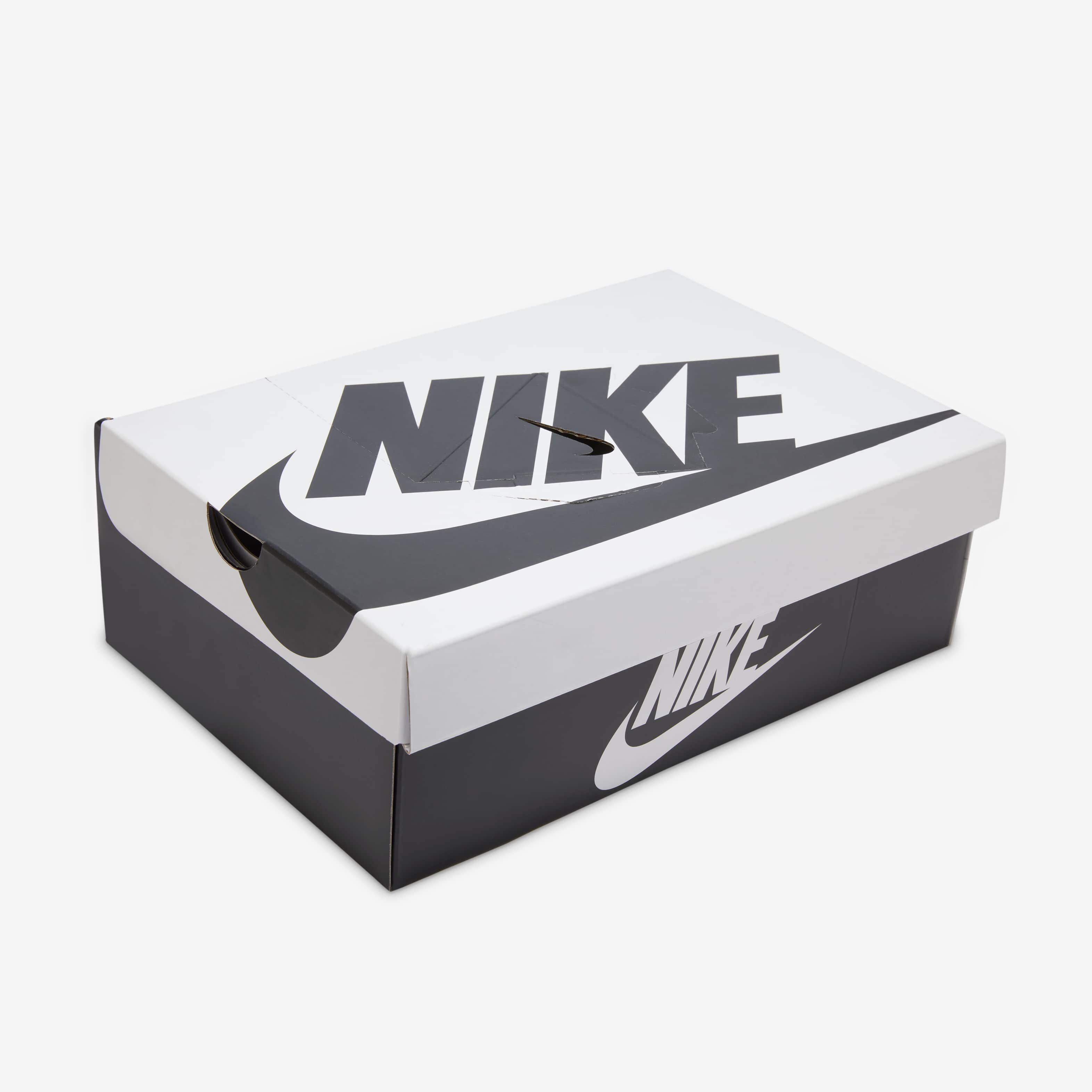 نايكي دانك لو ريترو SE image number 10