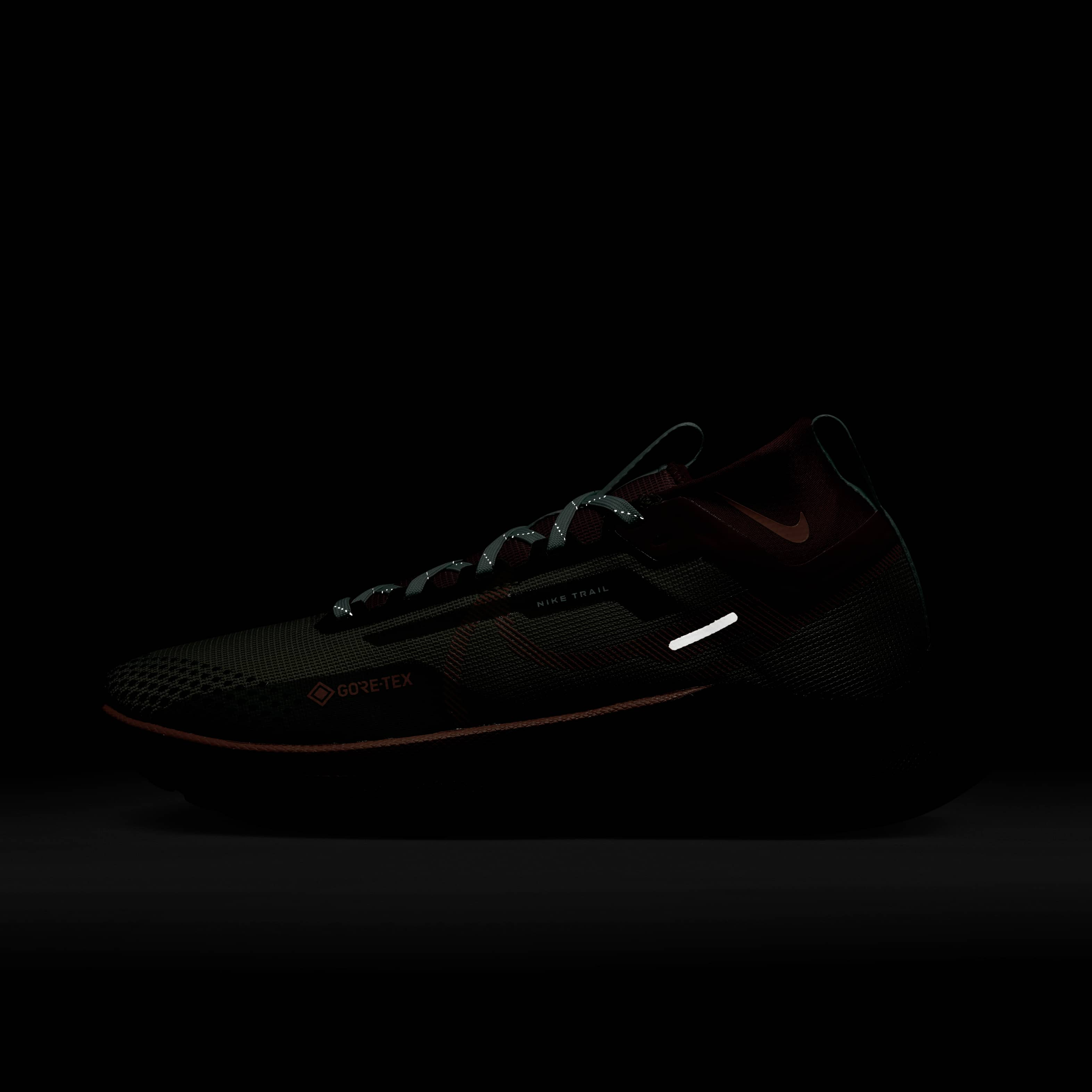 Nike Pegasus Trail 4 GORE-TEX image number 9