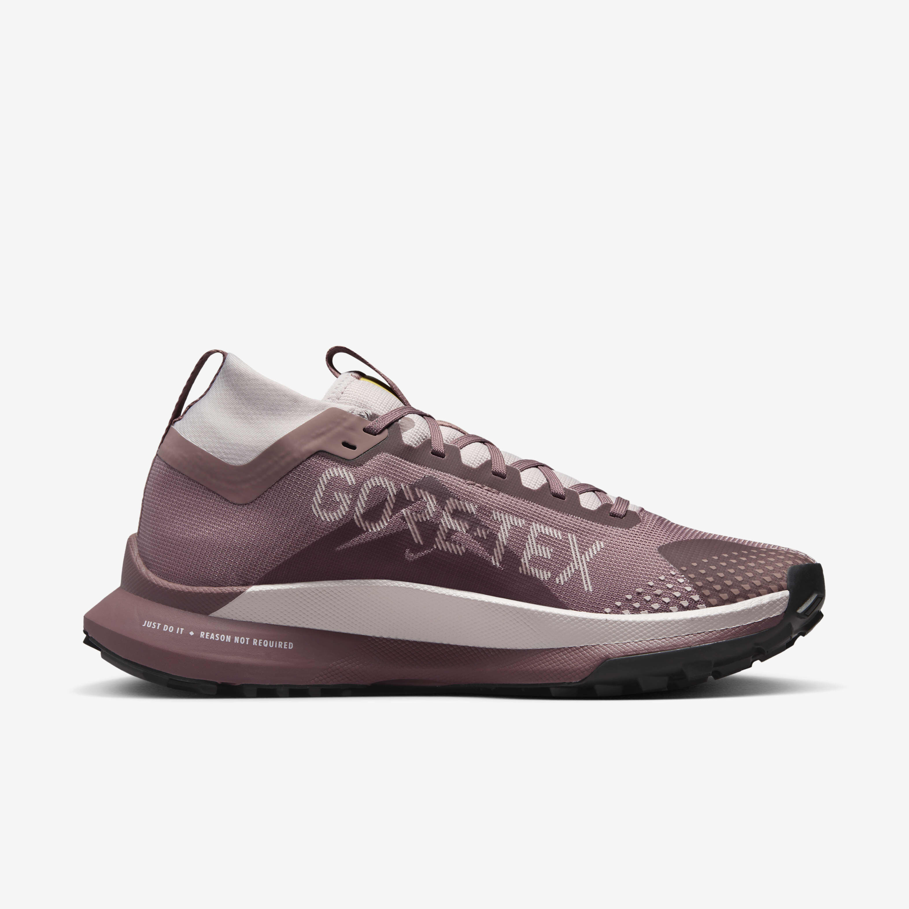 Nike Pegasus Trail 4 GORE-TEX image number 2