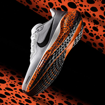 نايكي بيجاسوس 41