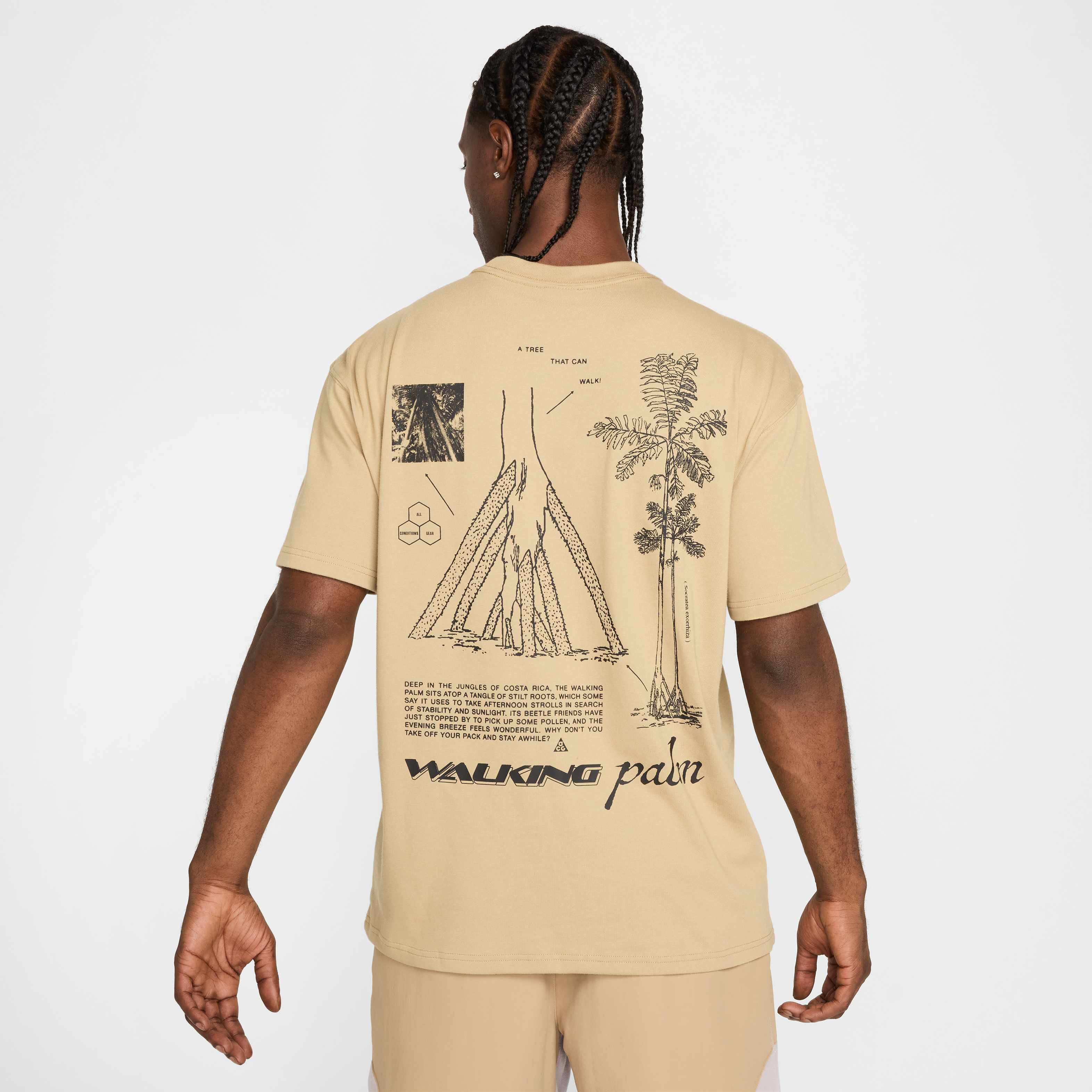 Buy Nike ACG 'Walking Tree' Men's Dri-FIT T-Shirt