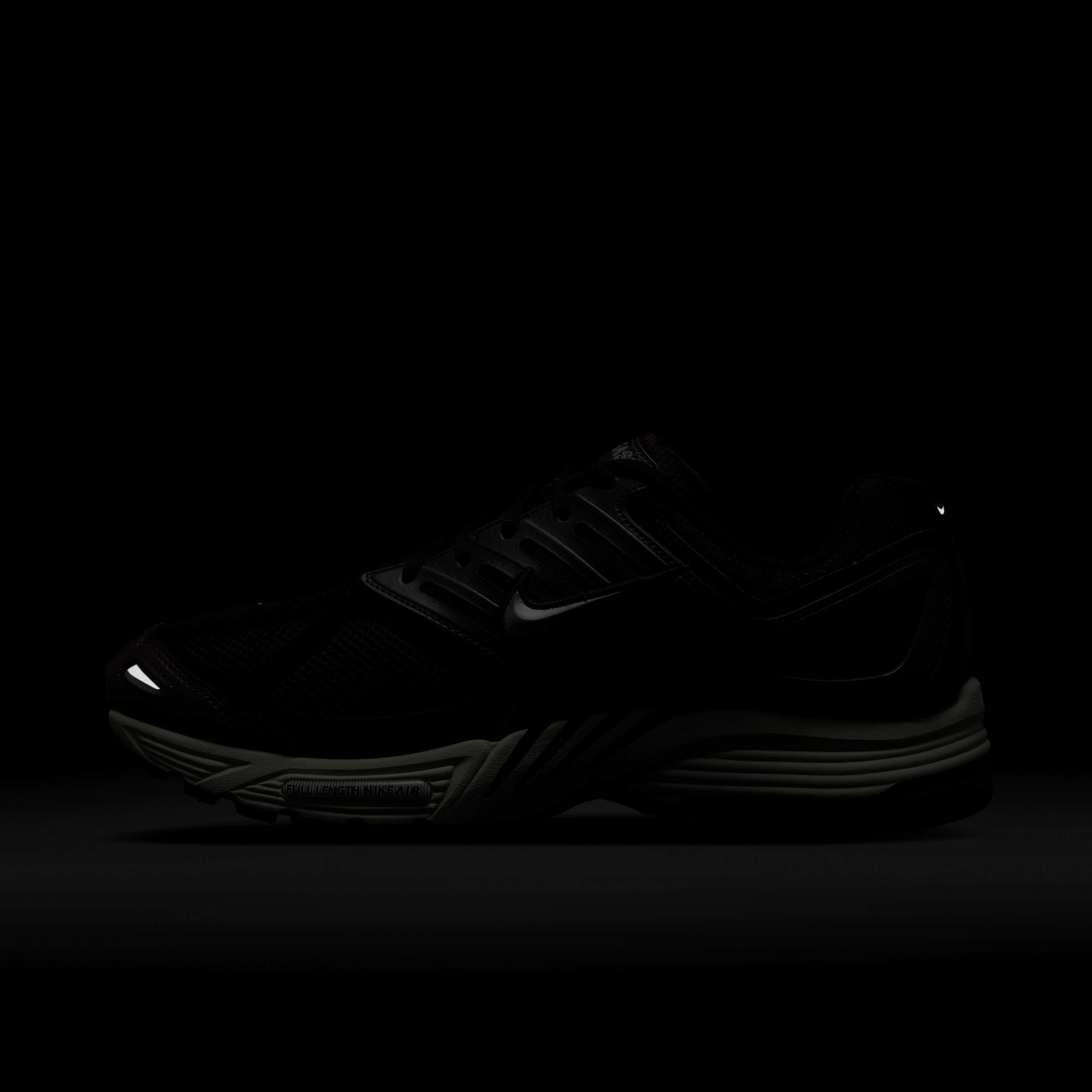 نايكي اير بيجاسوس 2005 image number 10