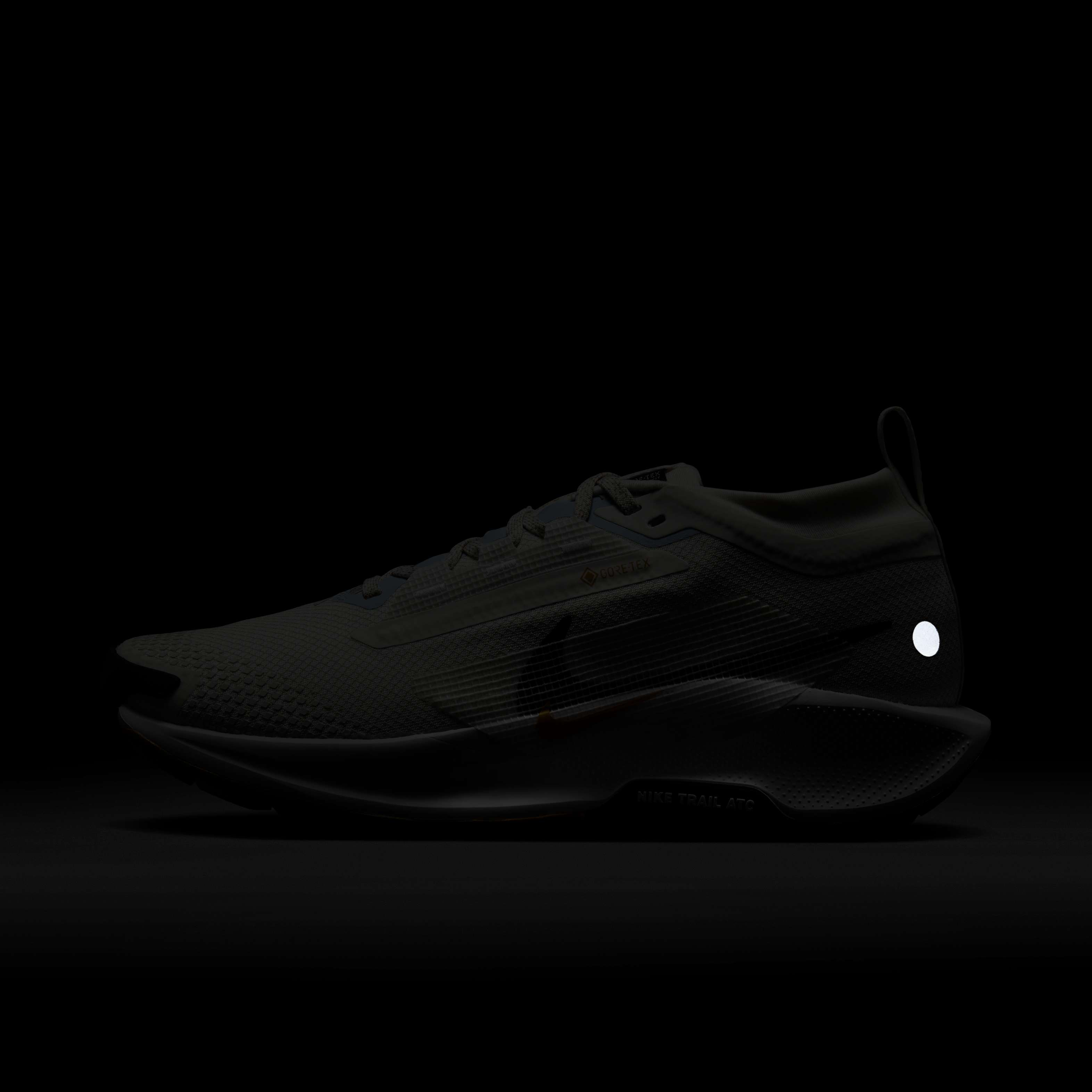 Nike Pegasus Trail 5 GORE-TEX image number 10