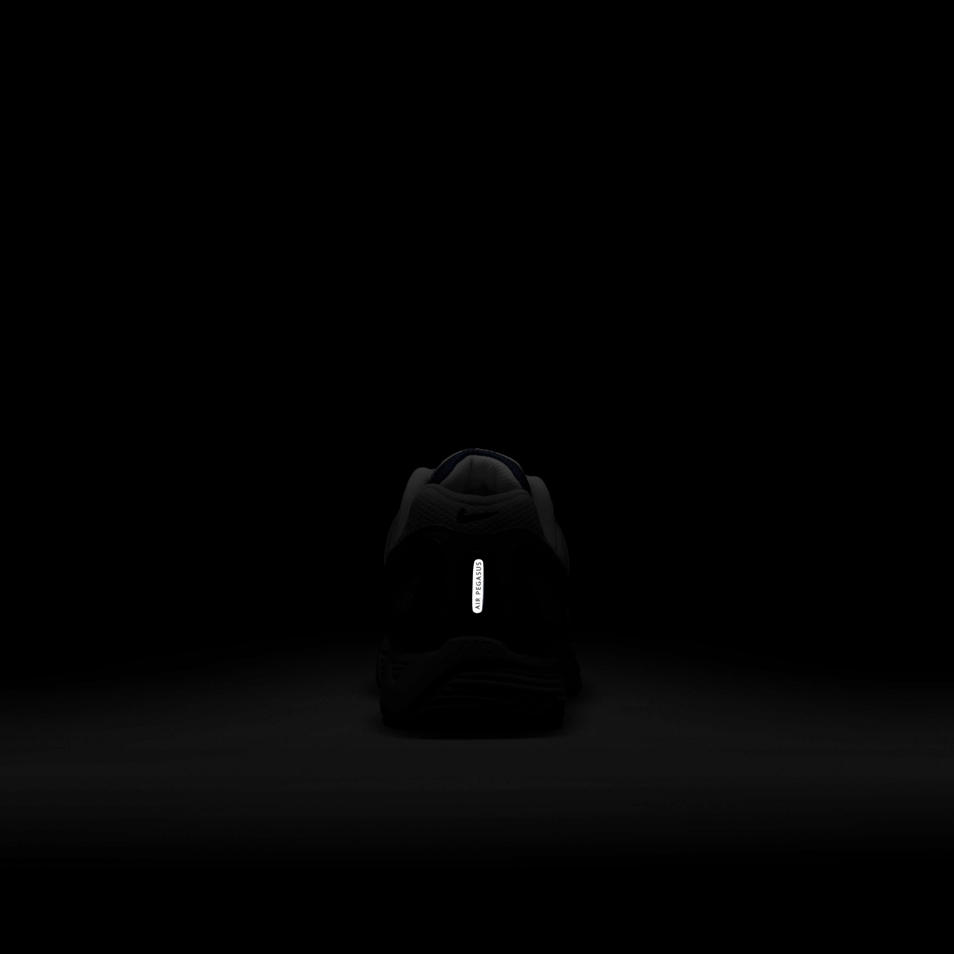 نايكي اير بيجاسوس 2005 image number 9