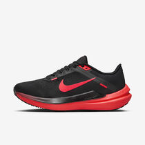 Nike Winflo 10