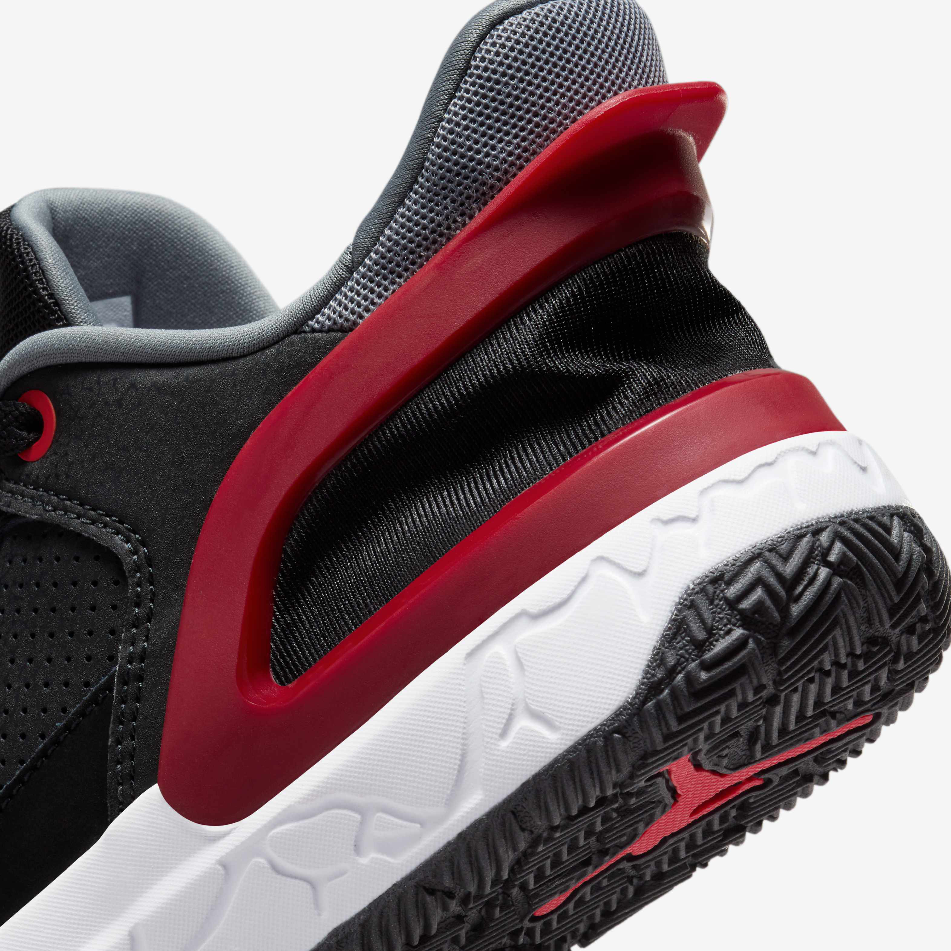 Jordan DAY1 EO image number 7