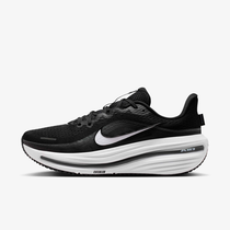 Nike Winflo 12