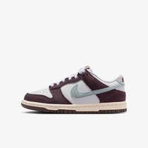 Nike Dunk Low SE