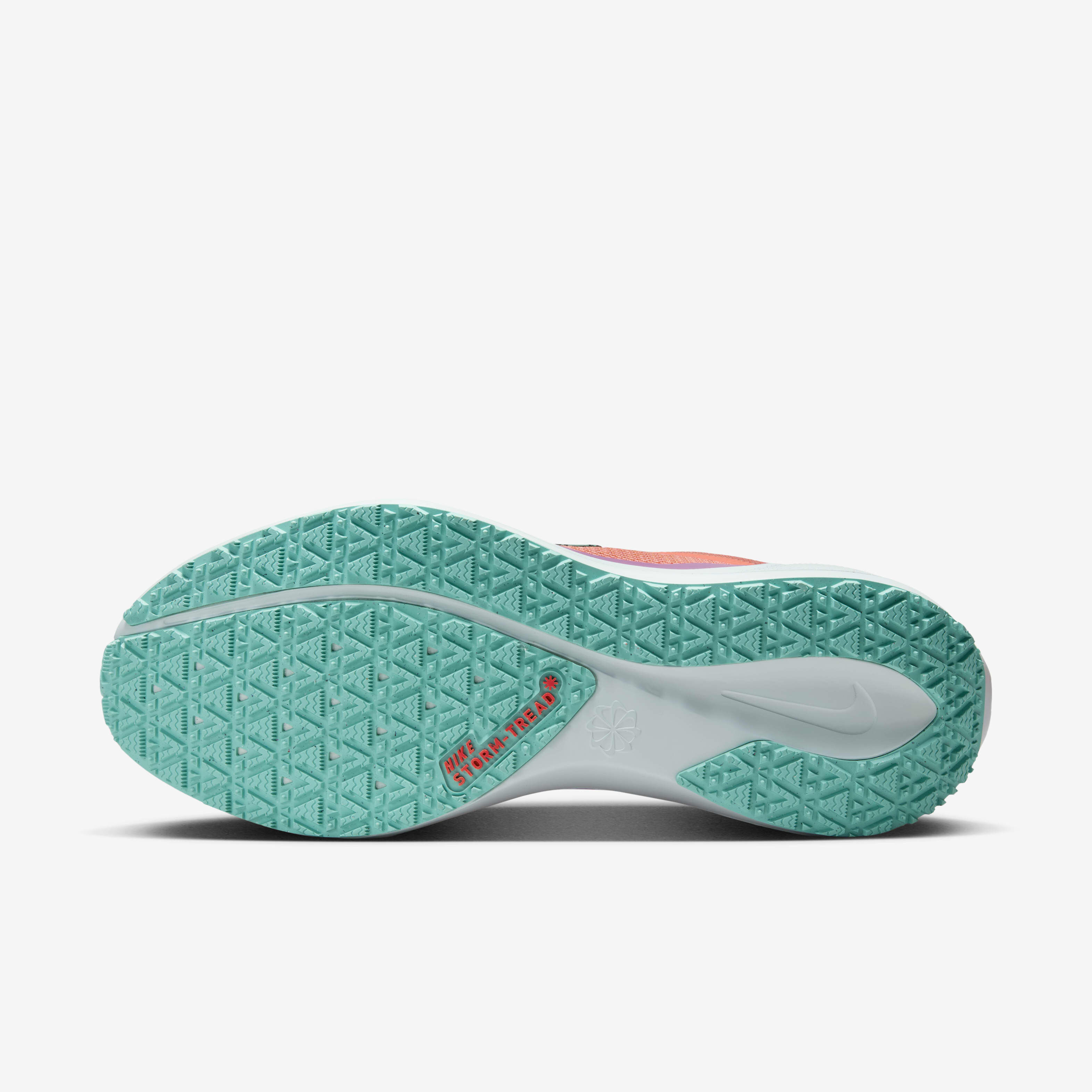 Nike Pegasus 41 GORE-TEX image number 1