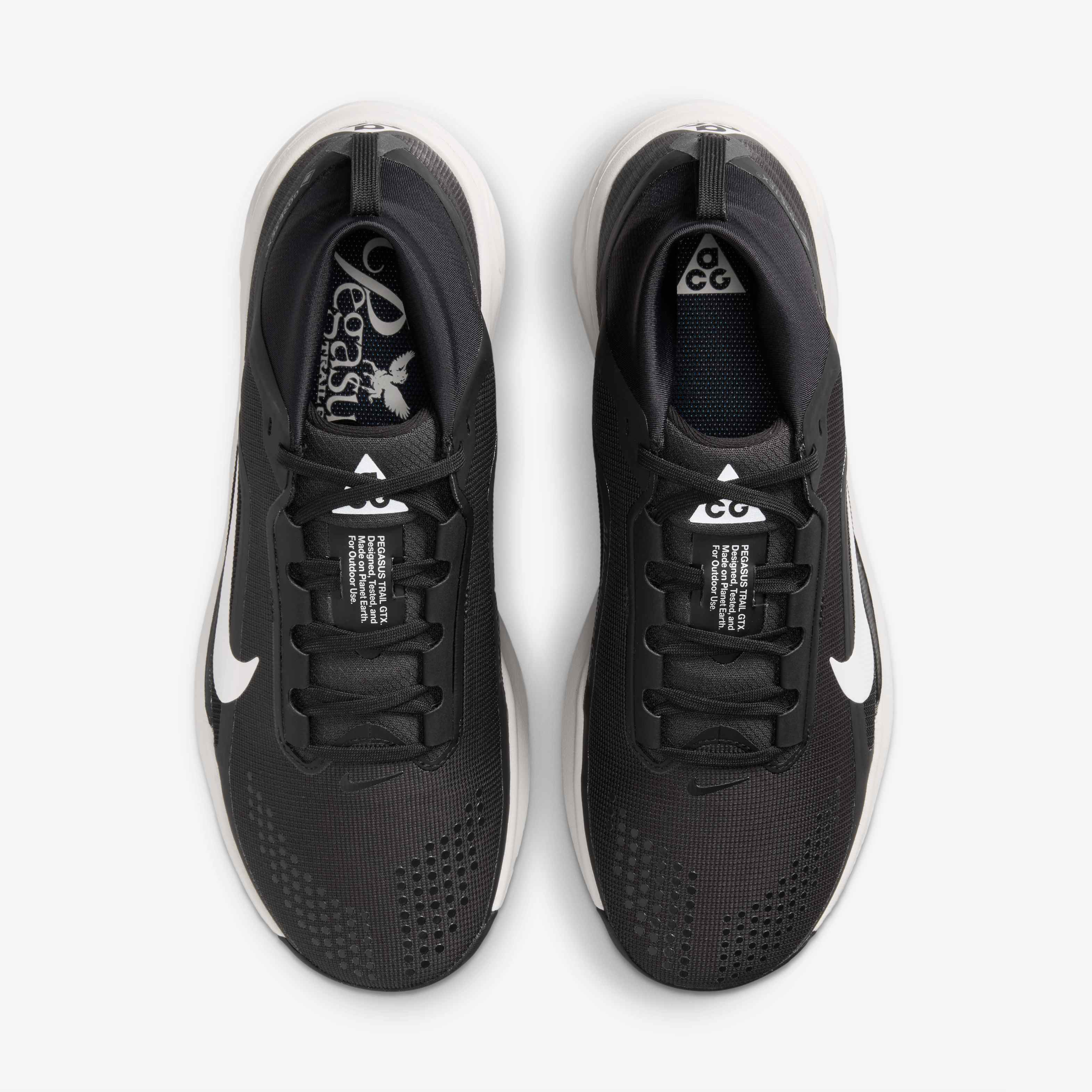 ACG بيجاسوس تريل GORE-TEX image number 3
