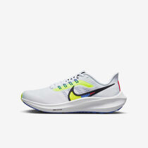 Nike Air Zoom Pegasus 39