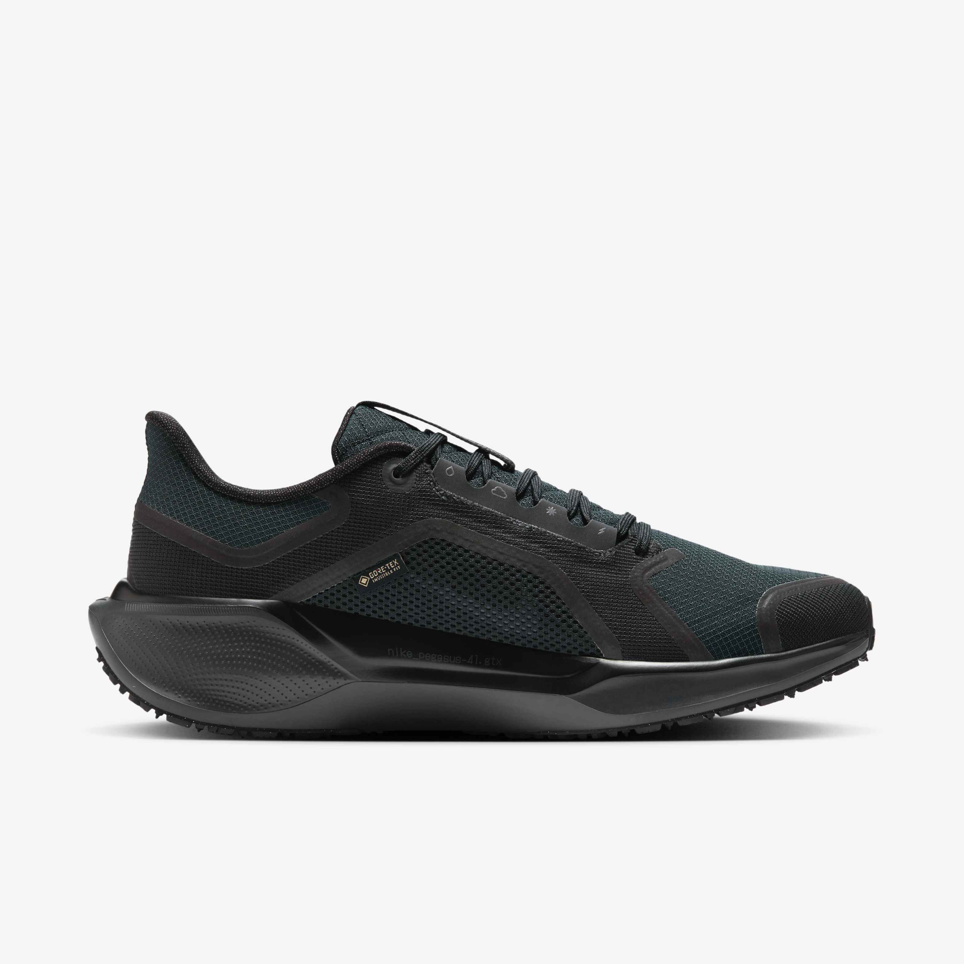 Nike Pegasus 41 GORE-TEX image number 2