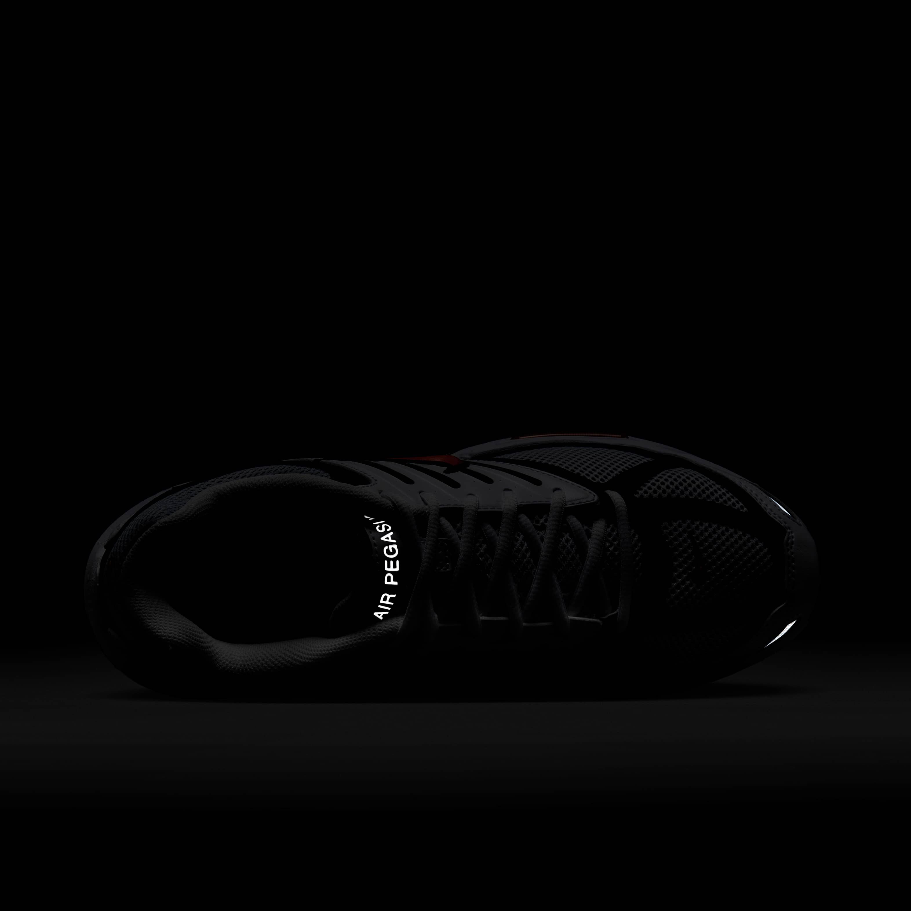 نايكي اير بيجاسوس 2005 image number 8