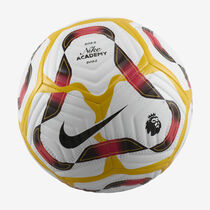 Premier League Academy