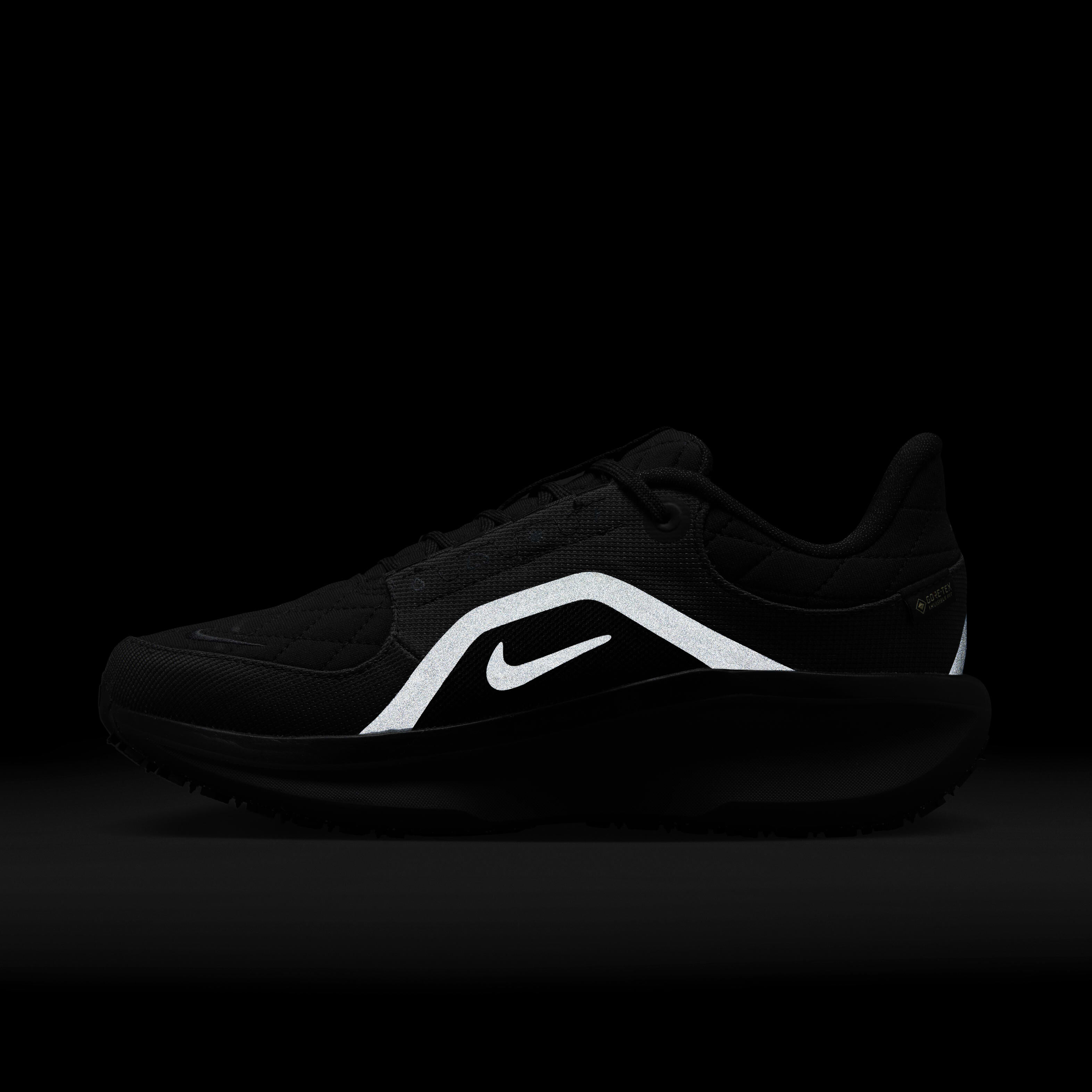 Nike Winflo 11 GORE-TEX image number 10