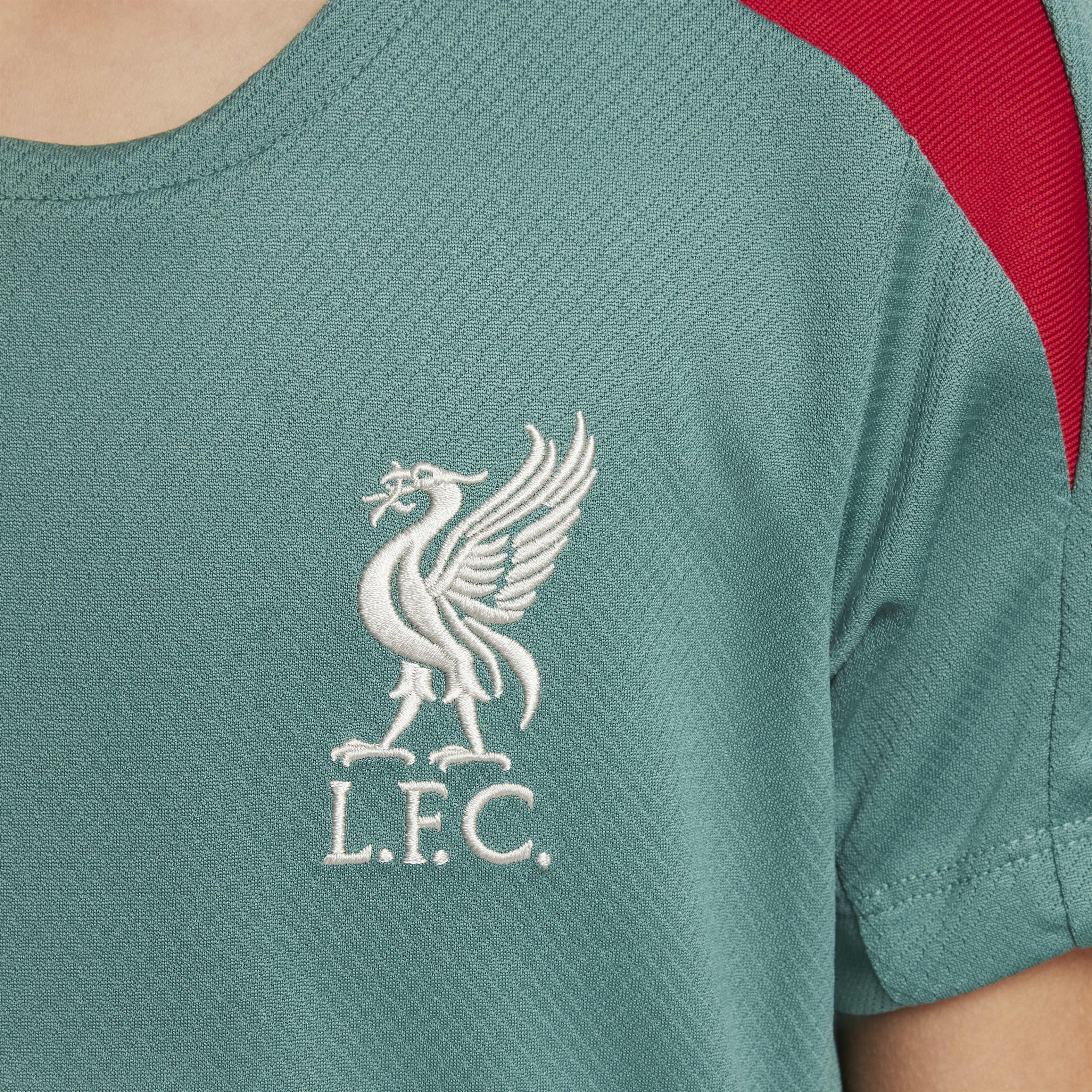Liverpool F.C. Strike image number 3