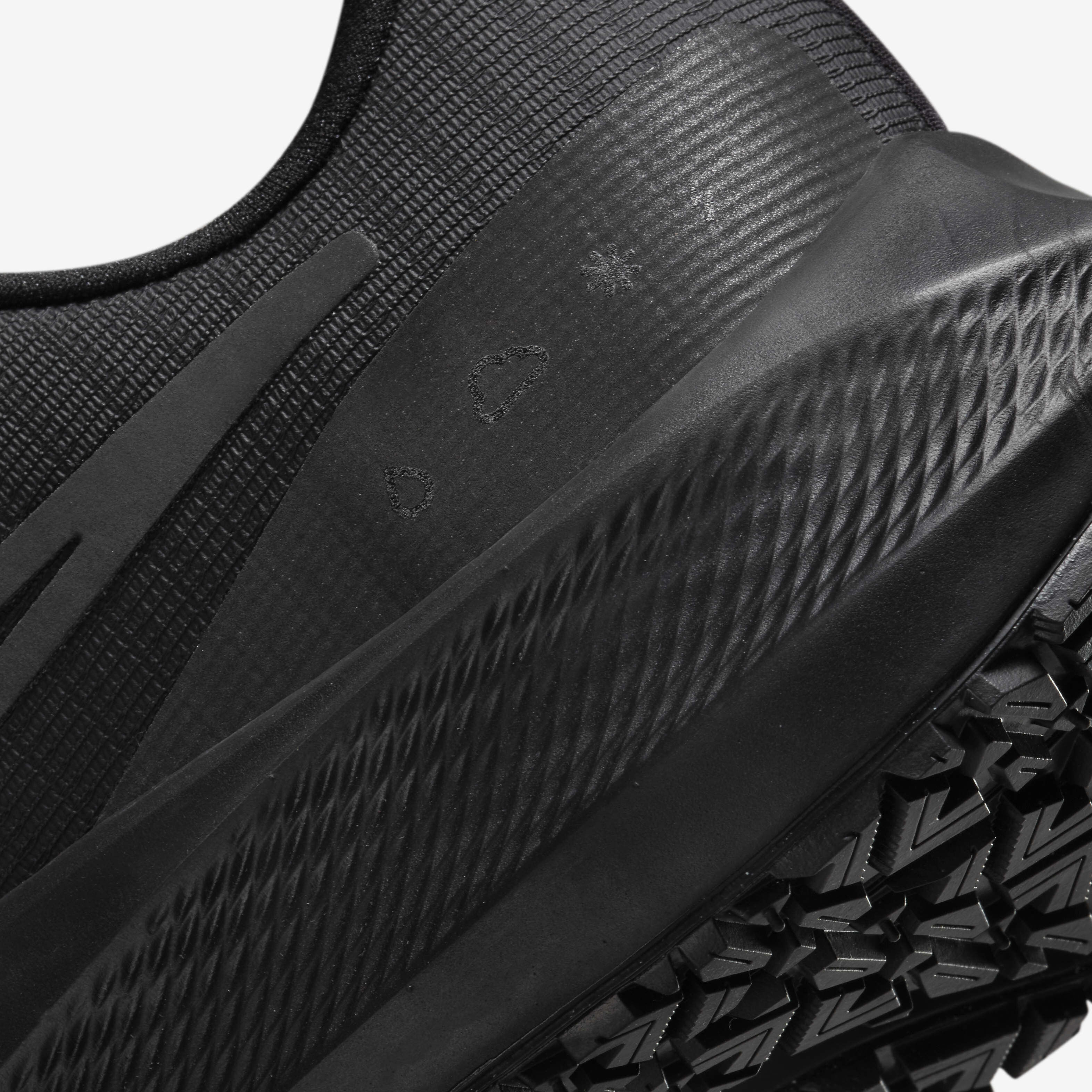 Nike Pegasus 39 Shield image number 7