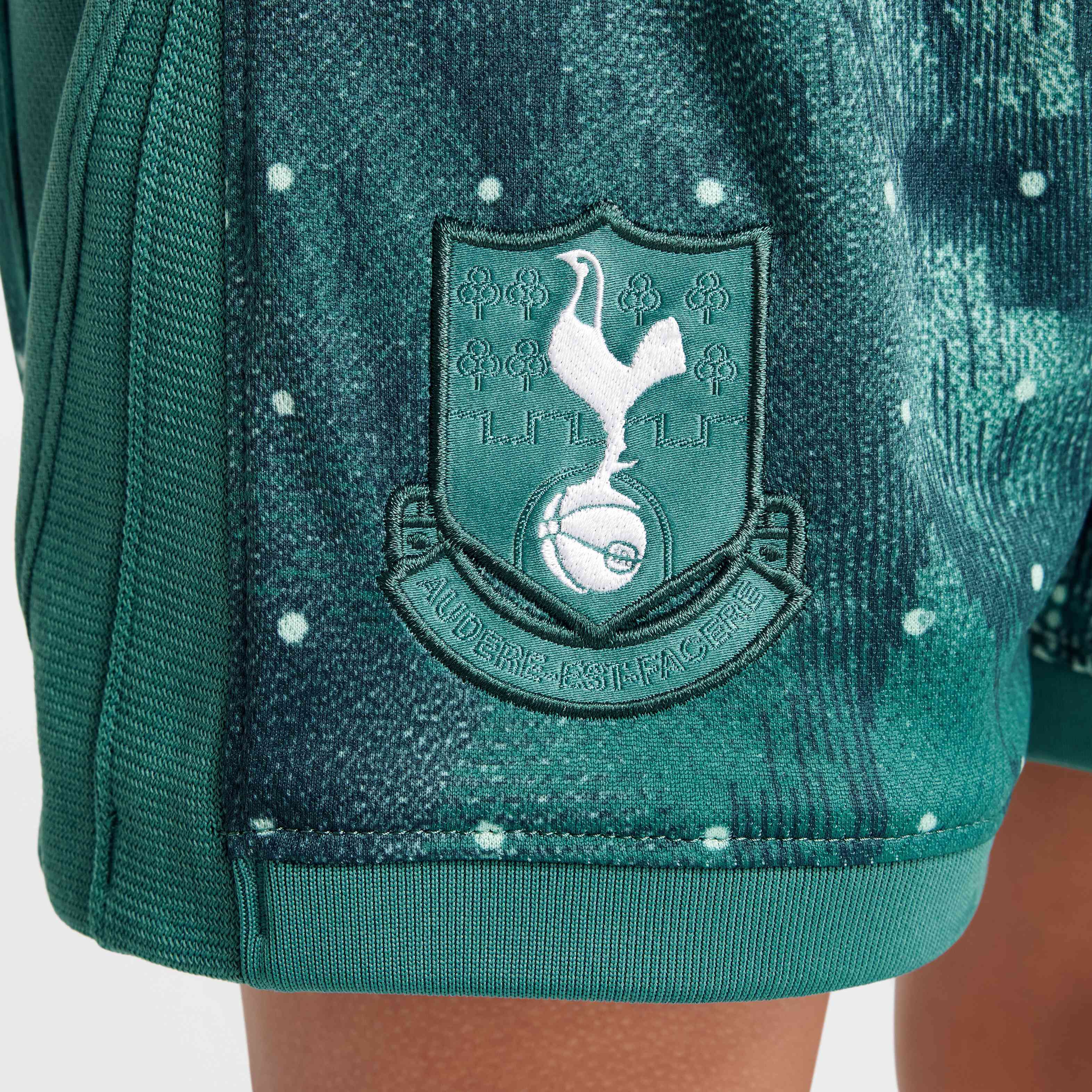 توتنهام هوتسبر 2024/25 ستيديوم البديل image number 11