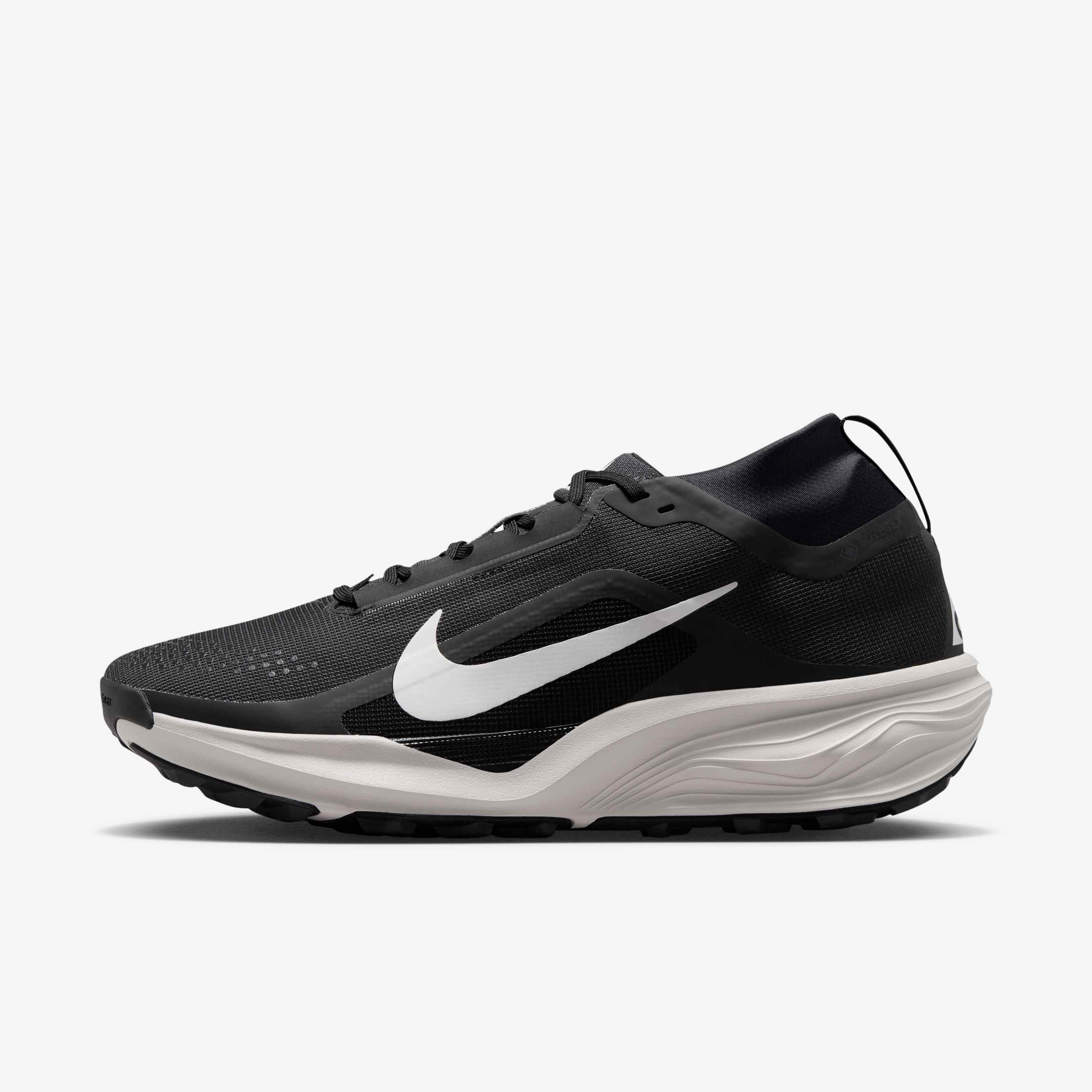 ACG بيجاسوس تريل GORE-TEX image number 0