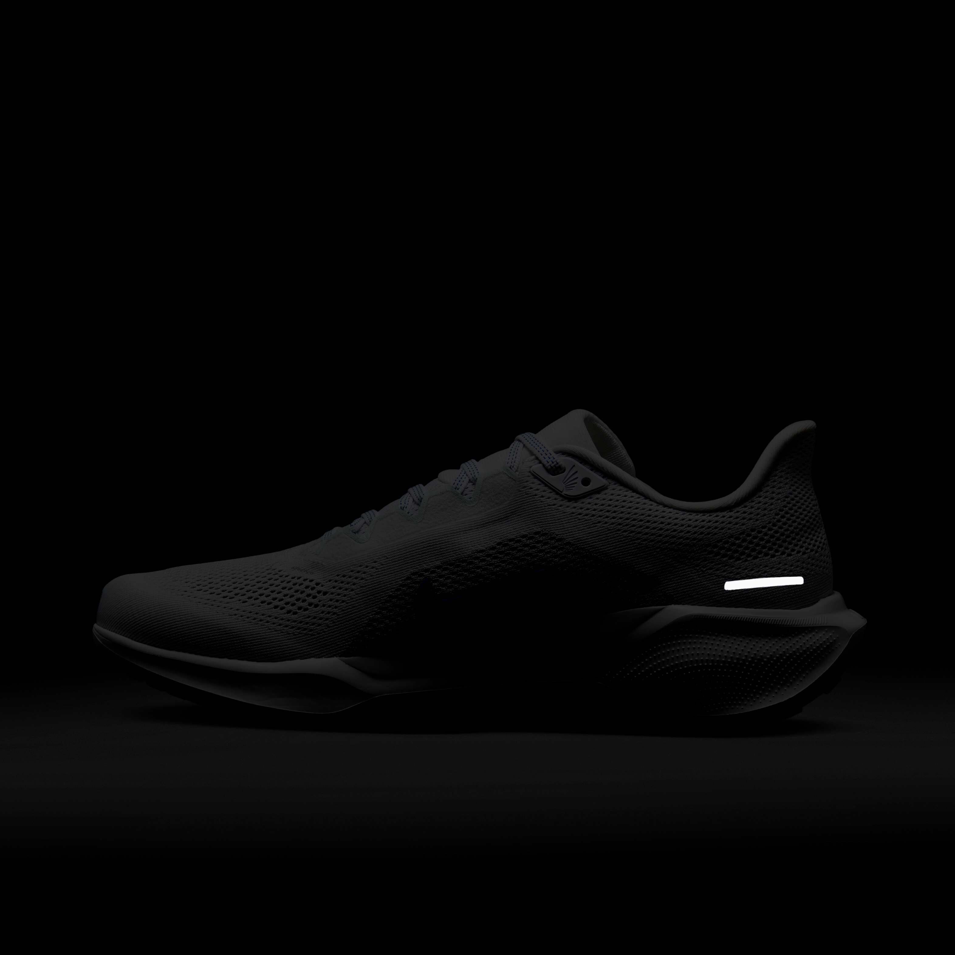 نايكي بيجاسوس 41 image number 10