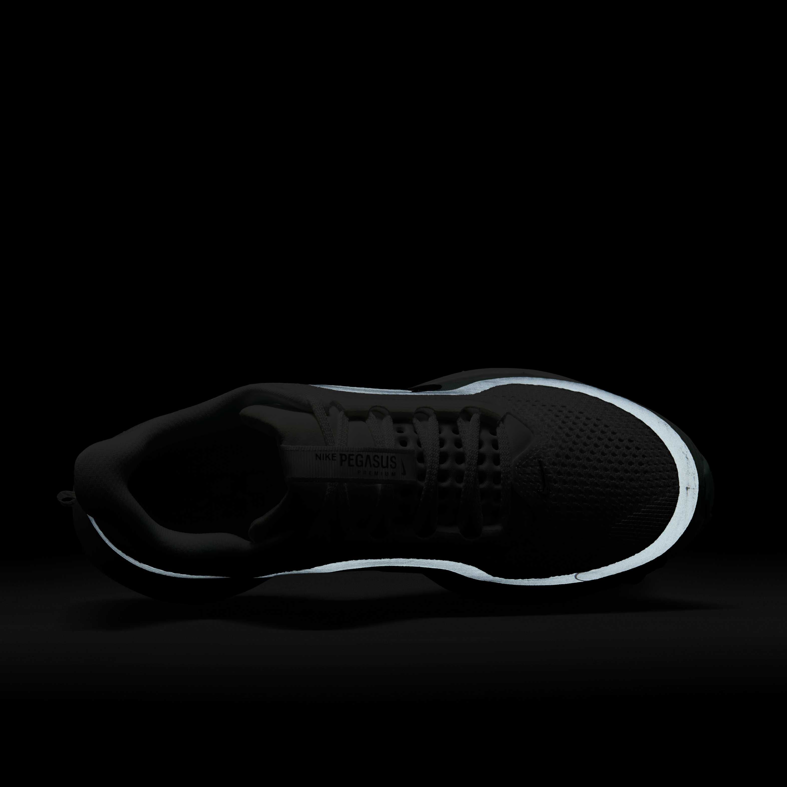 نايكي بيجاسوس بريميوم image number 8