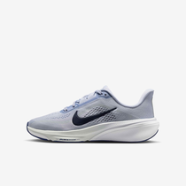 Nike Pegasus 42