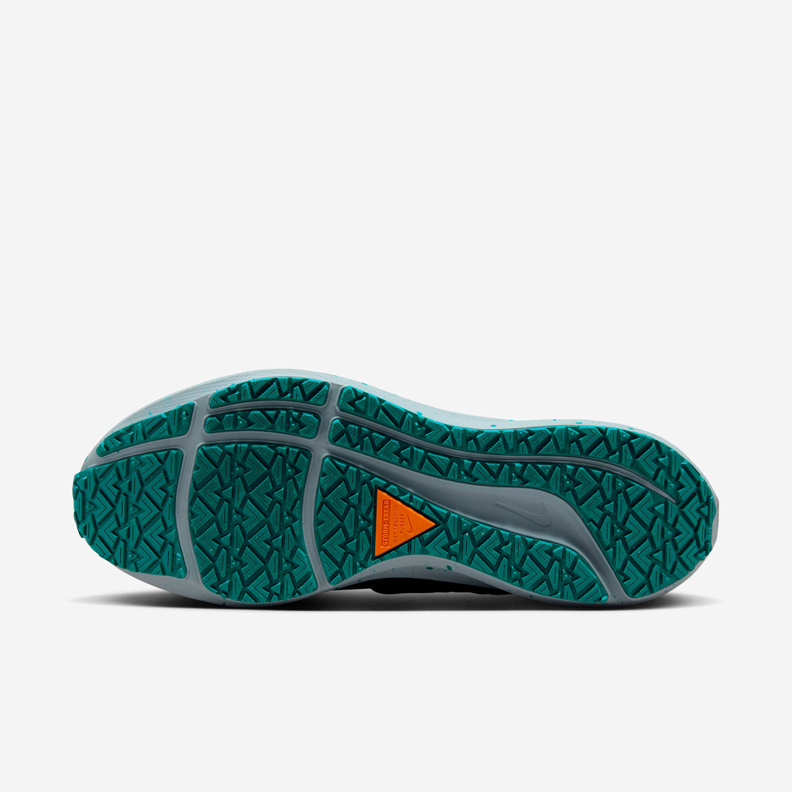 Nike Pegasus 39 Shield image number 1