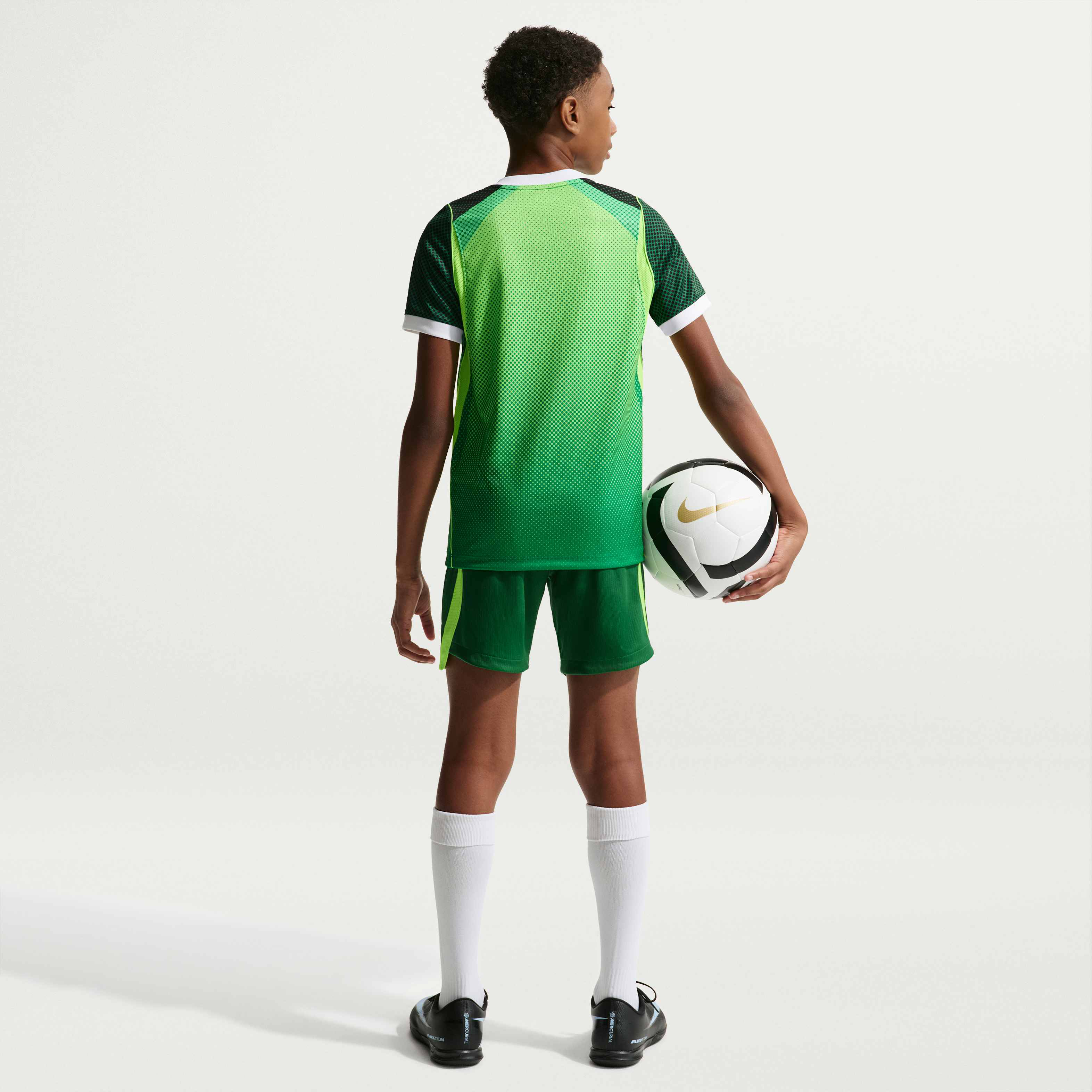 Nigeria 2026 Stadium Home image number 5