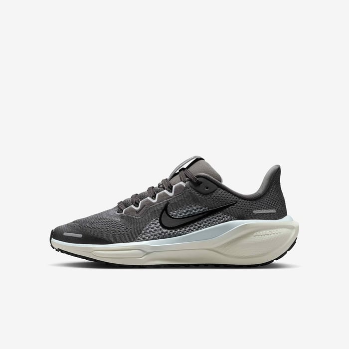 Nike Pegasus 41 image number 0 Nike Pegasus 41 image number 0