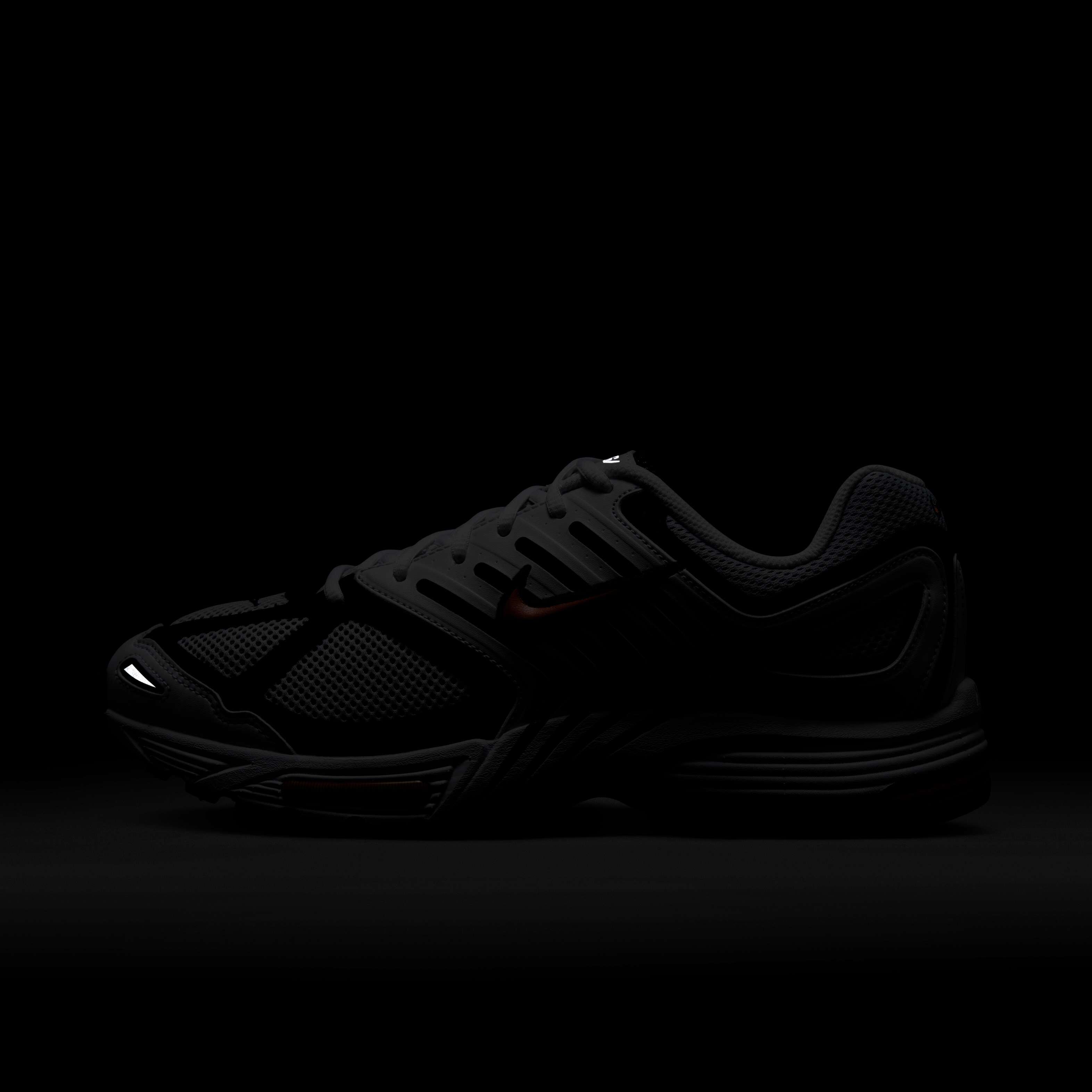 نايكي اير بيجاسوس 2005 image number 10