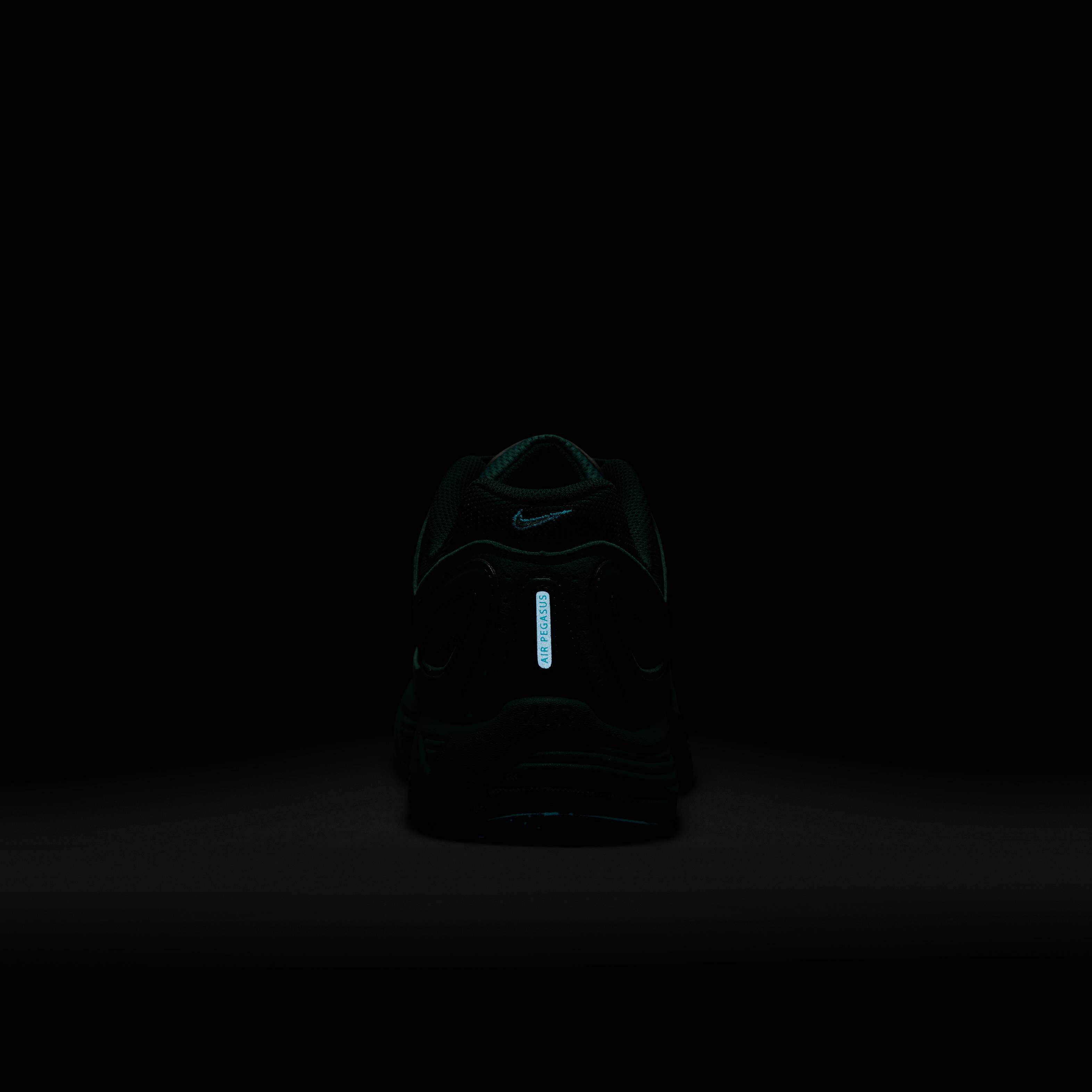 نايكي اير بيجاسوس 2005 image number 9