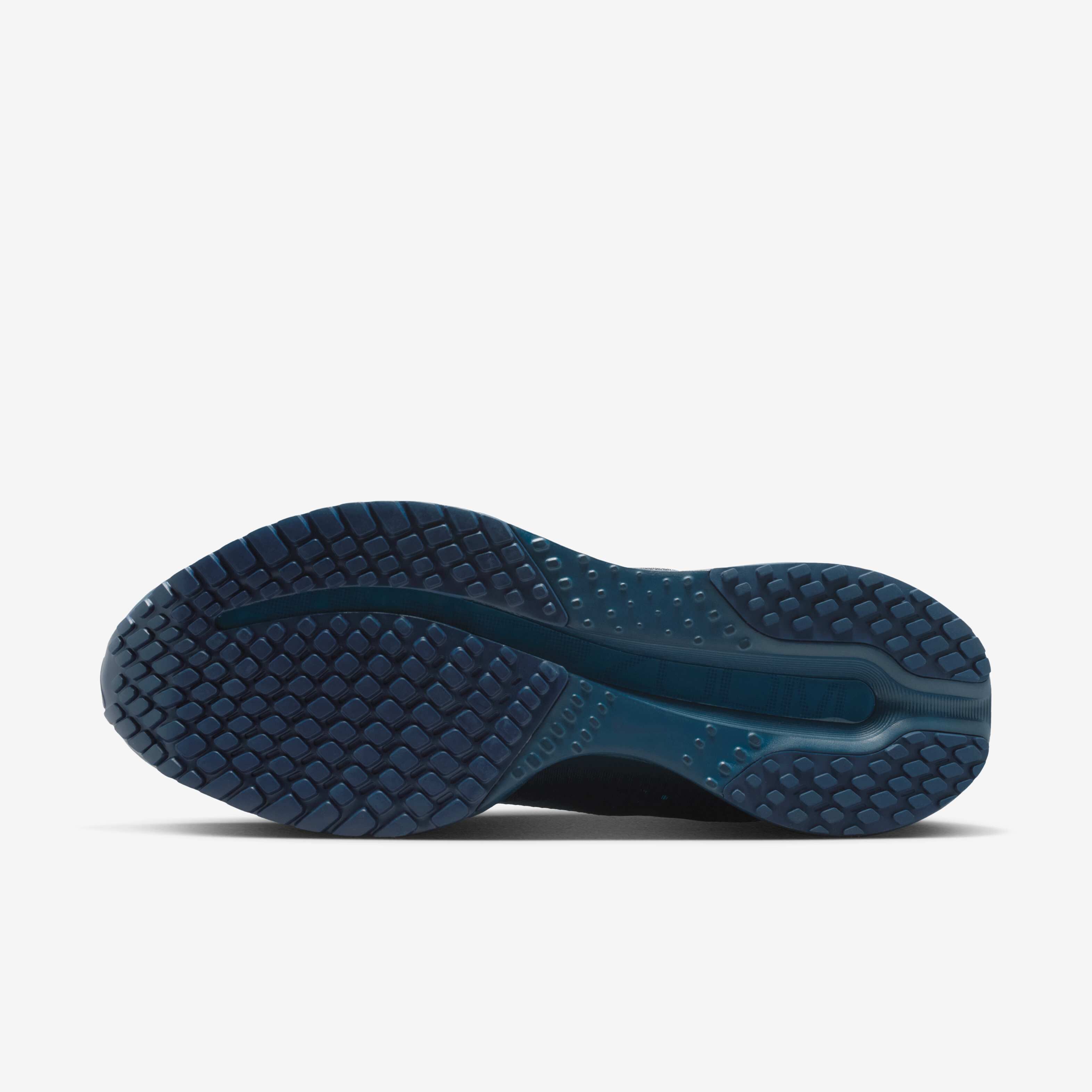 نايكي بيجاسوس بريميوم image number 1