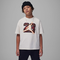 Jordan Plaid Pack 23 Tee