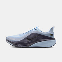 نايكي بيجاسوس 42 GORE-TEX