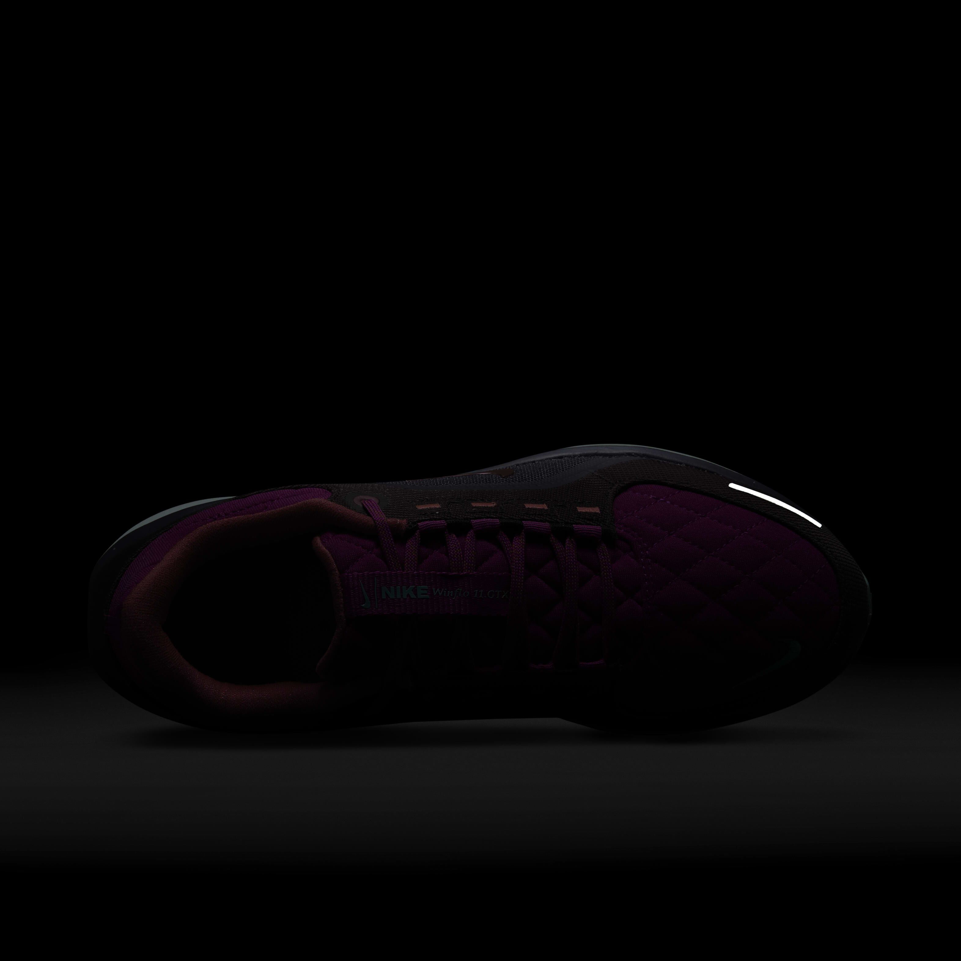 Nike Winflo 11 GORE-TEX SE image number 8