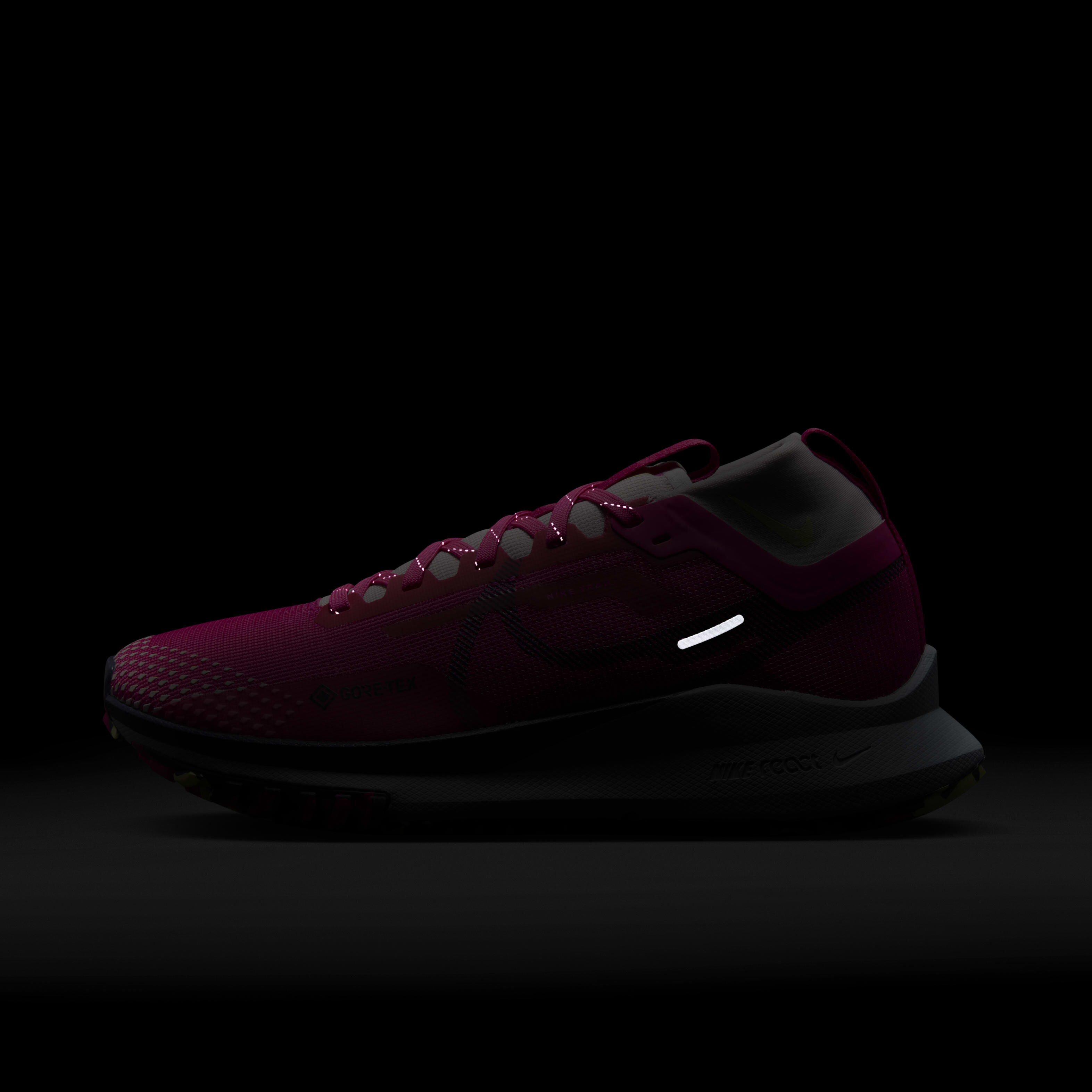 Nike Pegasus Trail 4 GORE-TEX image number 9