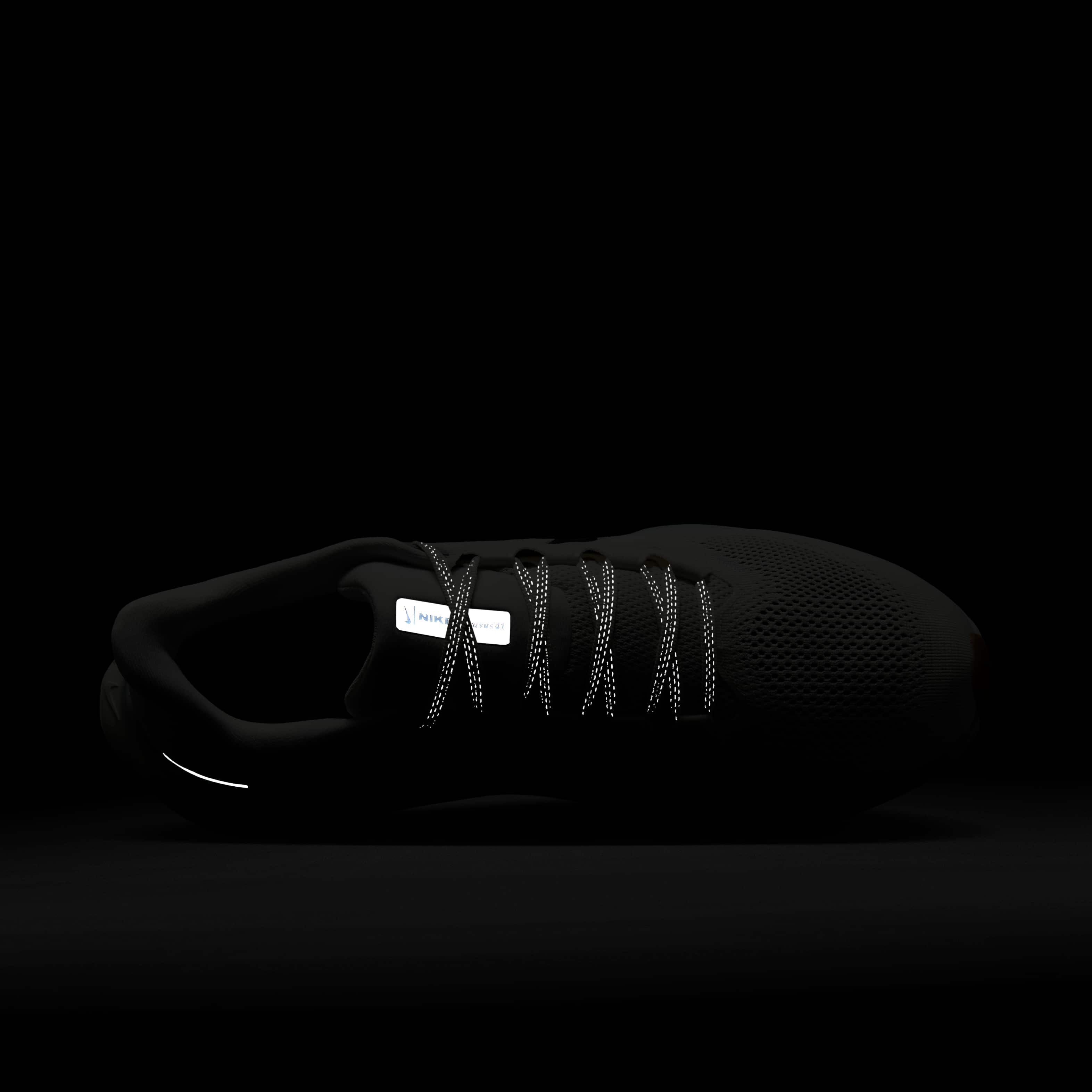 نايكي بيجاسوس 41 image number 8