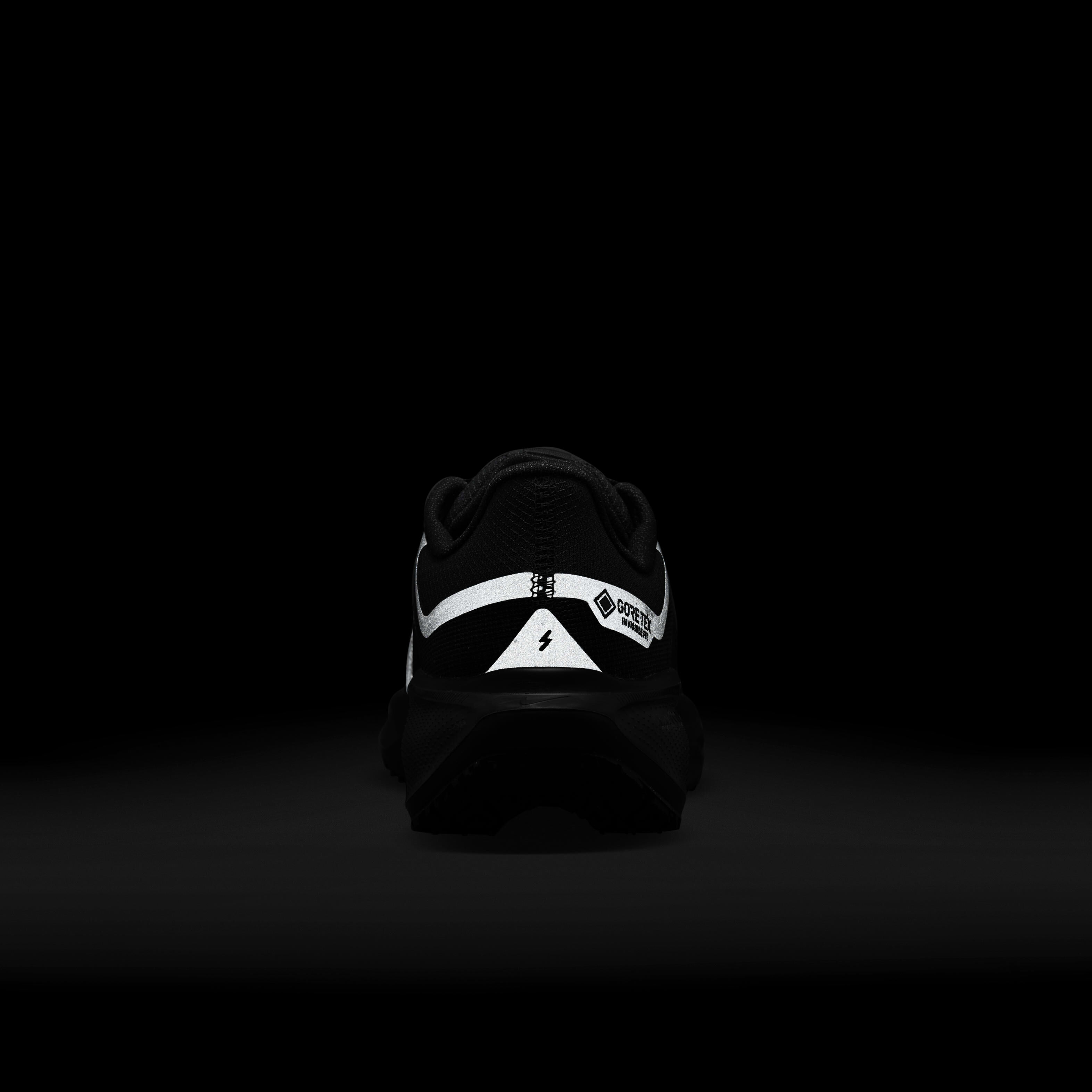 Nike Pegasus 41 GORE-TEX image number 9