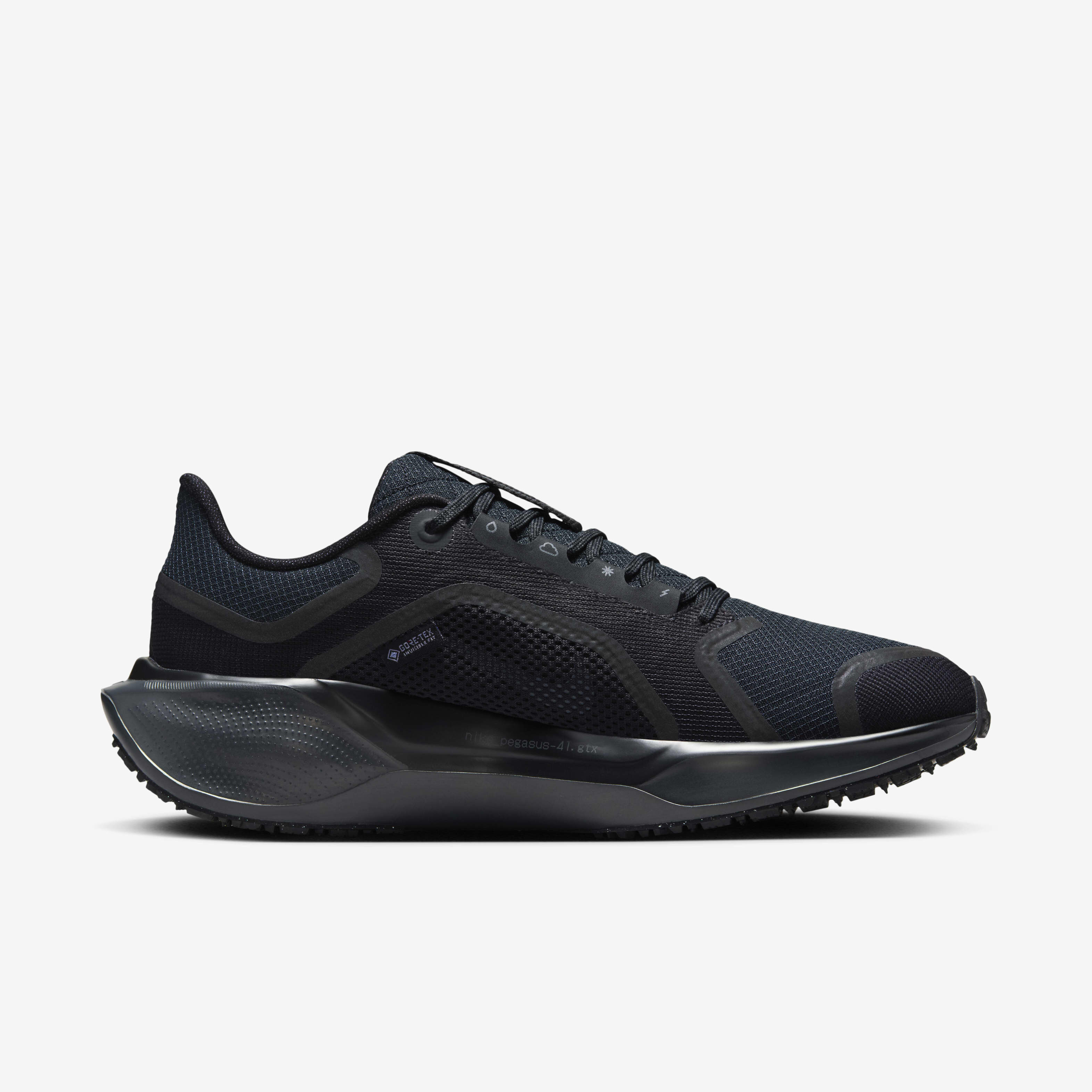 Nike Pegasus 41 GORE-TEX image number 2
