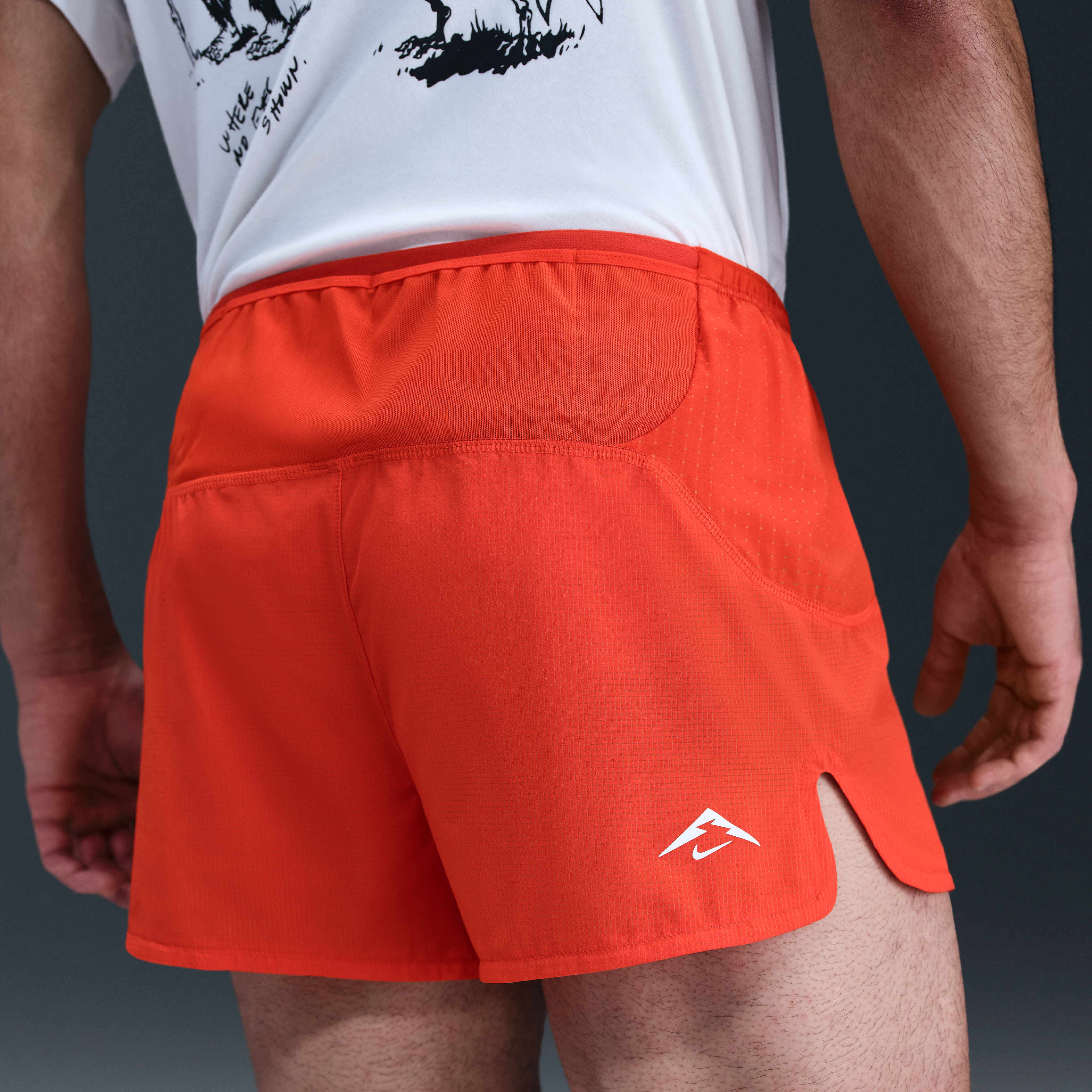 Nike Trailwind image number 4