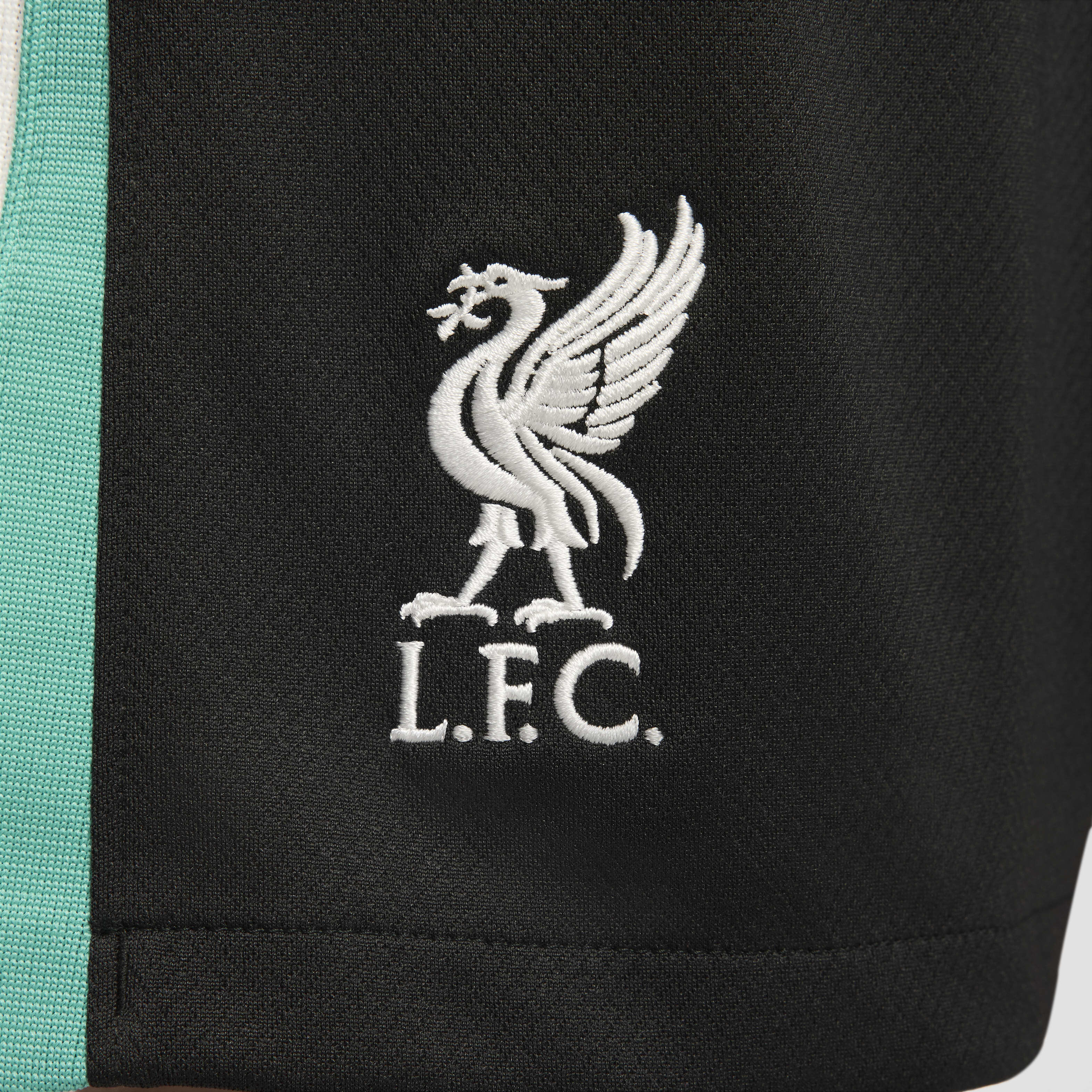 Liverpool F.C. 2024/25 Stadium Away image number 5